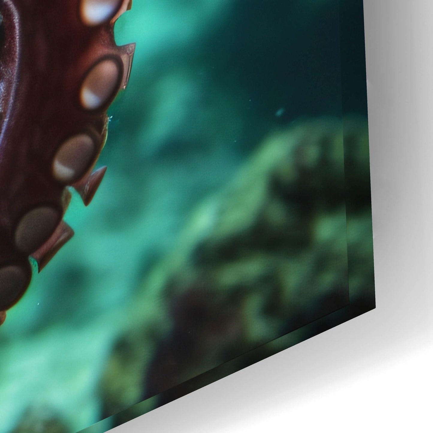 Epic Art 'Octopus at Sea' by Epic Portfolio, Acrylic Glass Wall Art,24x16