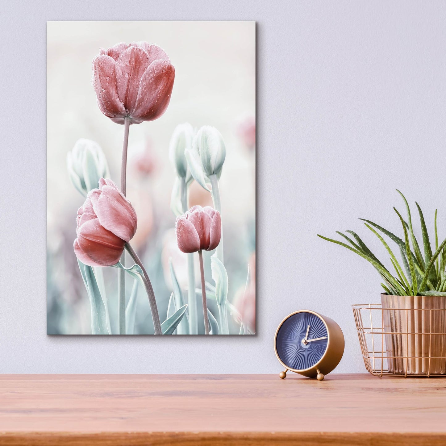 Epic Art 'Pink and White Tulips' by Epic Portfolio, Acrylic Glass Wall Art,12x16