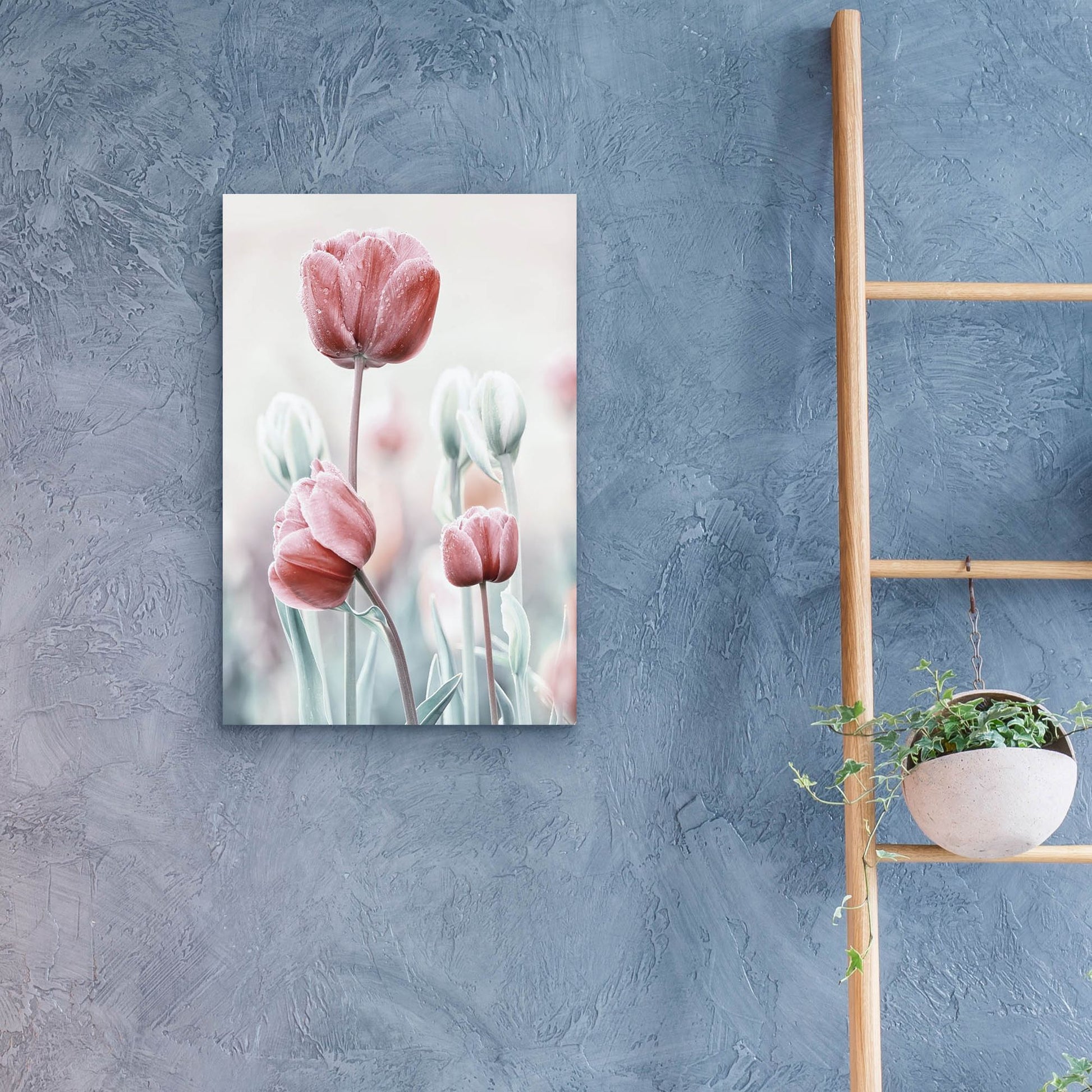 Epic Art 'Pink and White Tulips' by Epic Portfolio, Acrylic Glass Wall Art,16x24