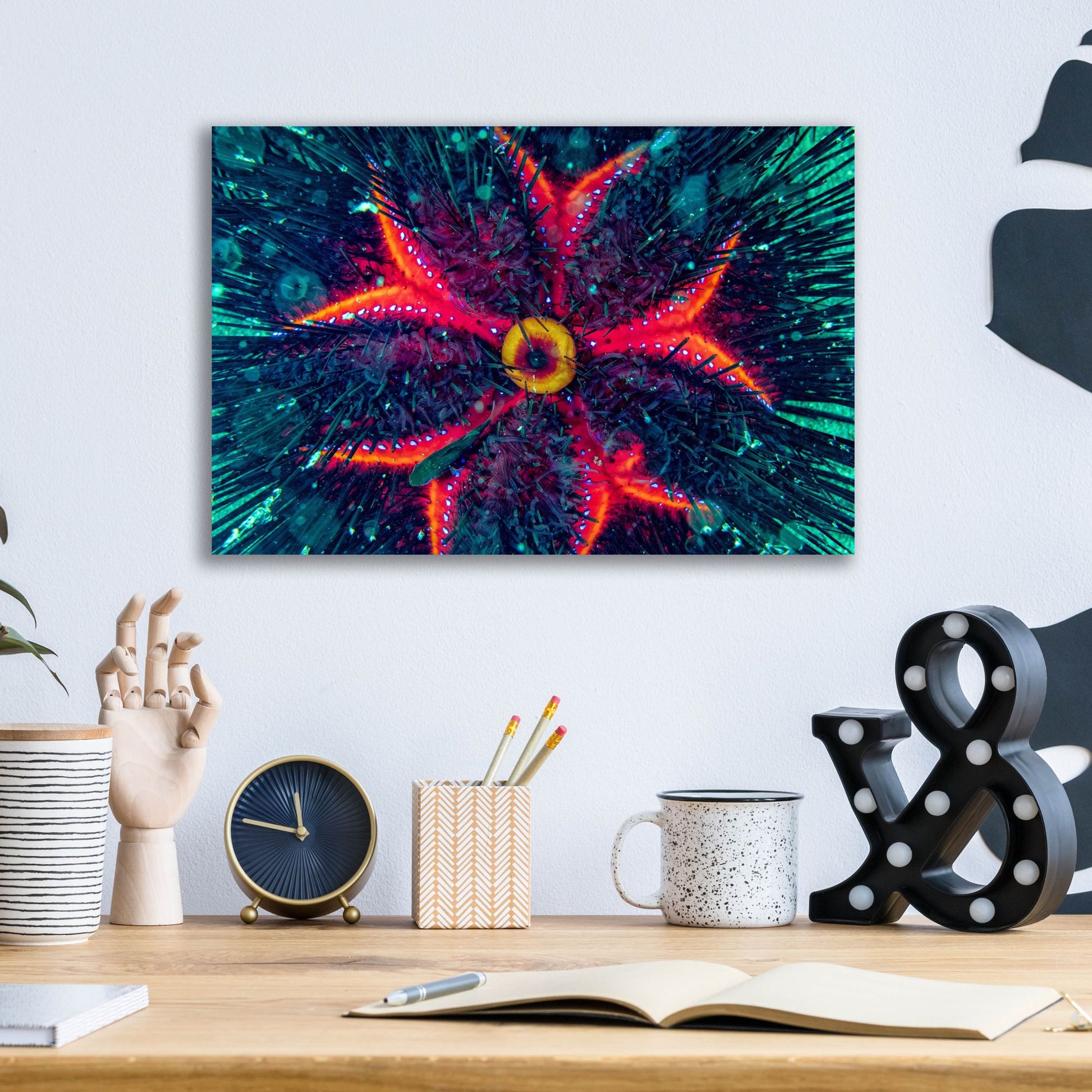 Epic Art 'Sea Urchin Underwater' by Epic Portfolio, Acrylic Glass Wall Art,16x12