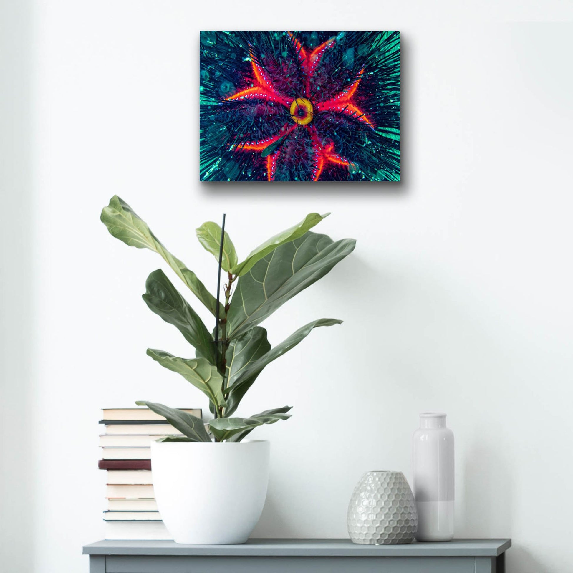 Epic Art 'Sea Urchin Underwater' by Epic Portfolio, Acrylic Glass Wall Art,16x12