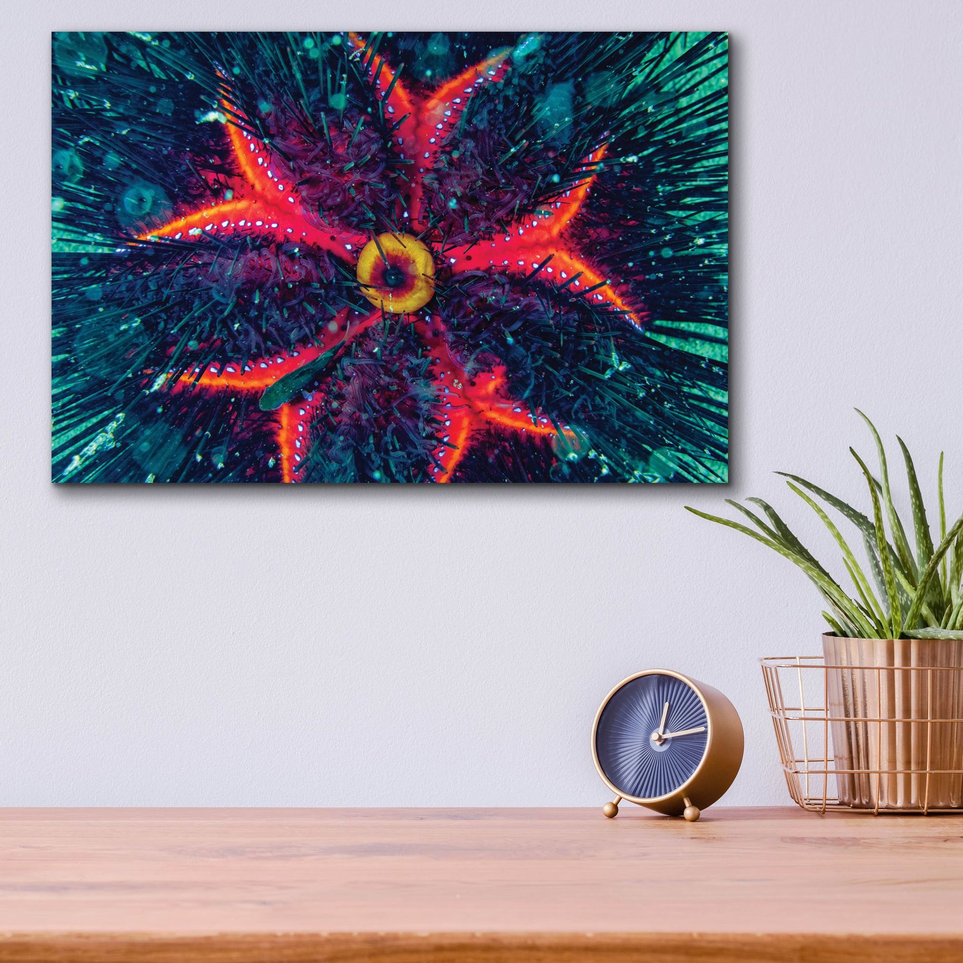 Epic Art 'Sea Urchin Underwater' by Epic Portfolio, Acrylic Glass Wall Art,16x12