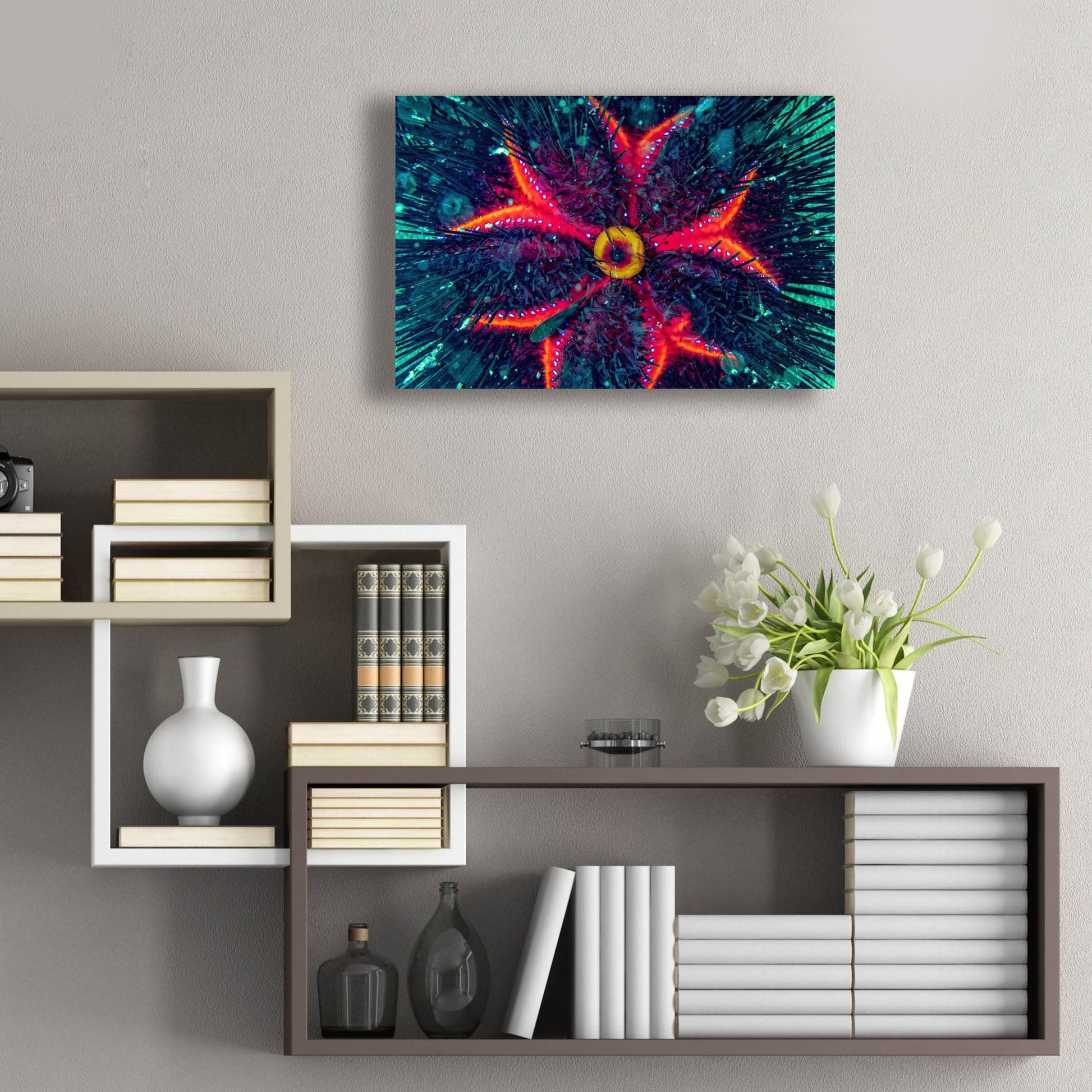 Epic Art 'Sea Urchin Underwater' by Epic Portfolio, Acrylic Glass Wall Art,24x16