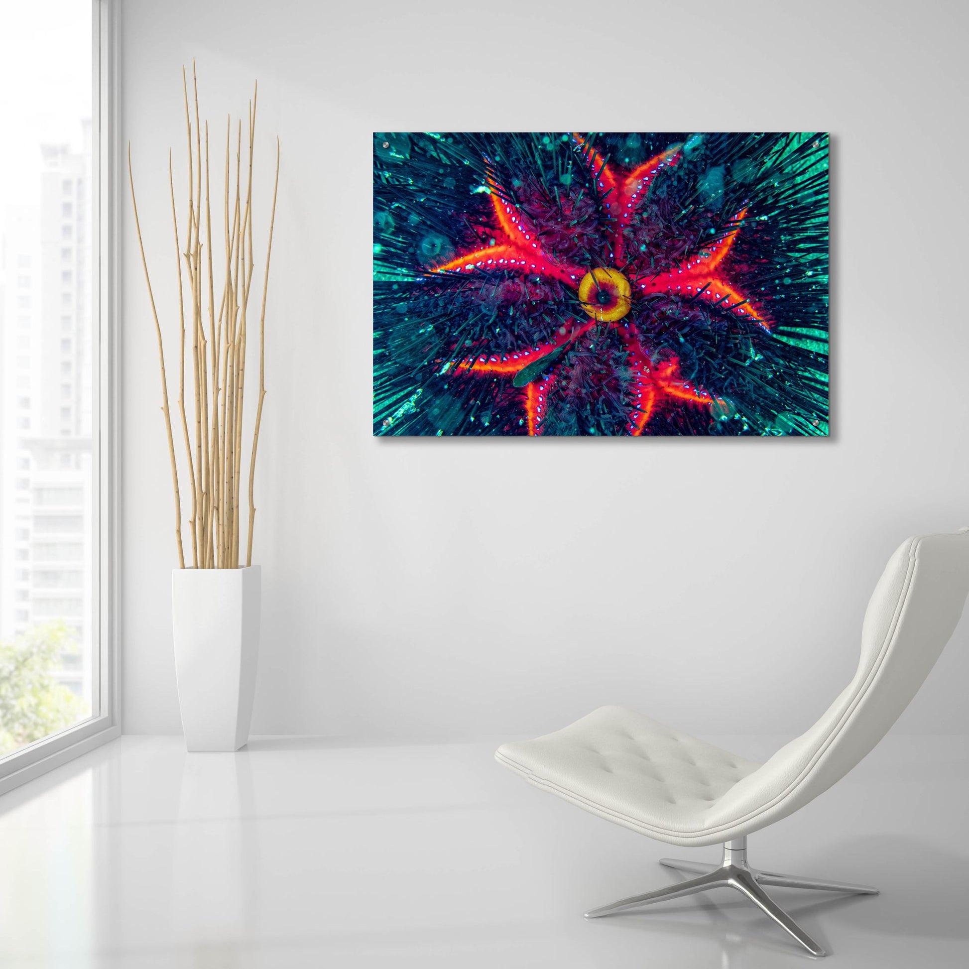 Epic Art 'Sea Urchin Underwater' by Epic Portfolio, Acrylic Glass Wall Art,36x24