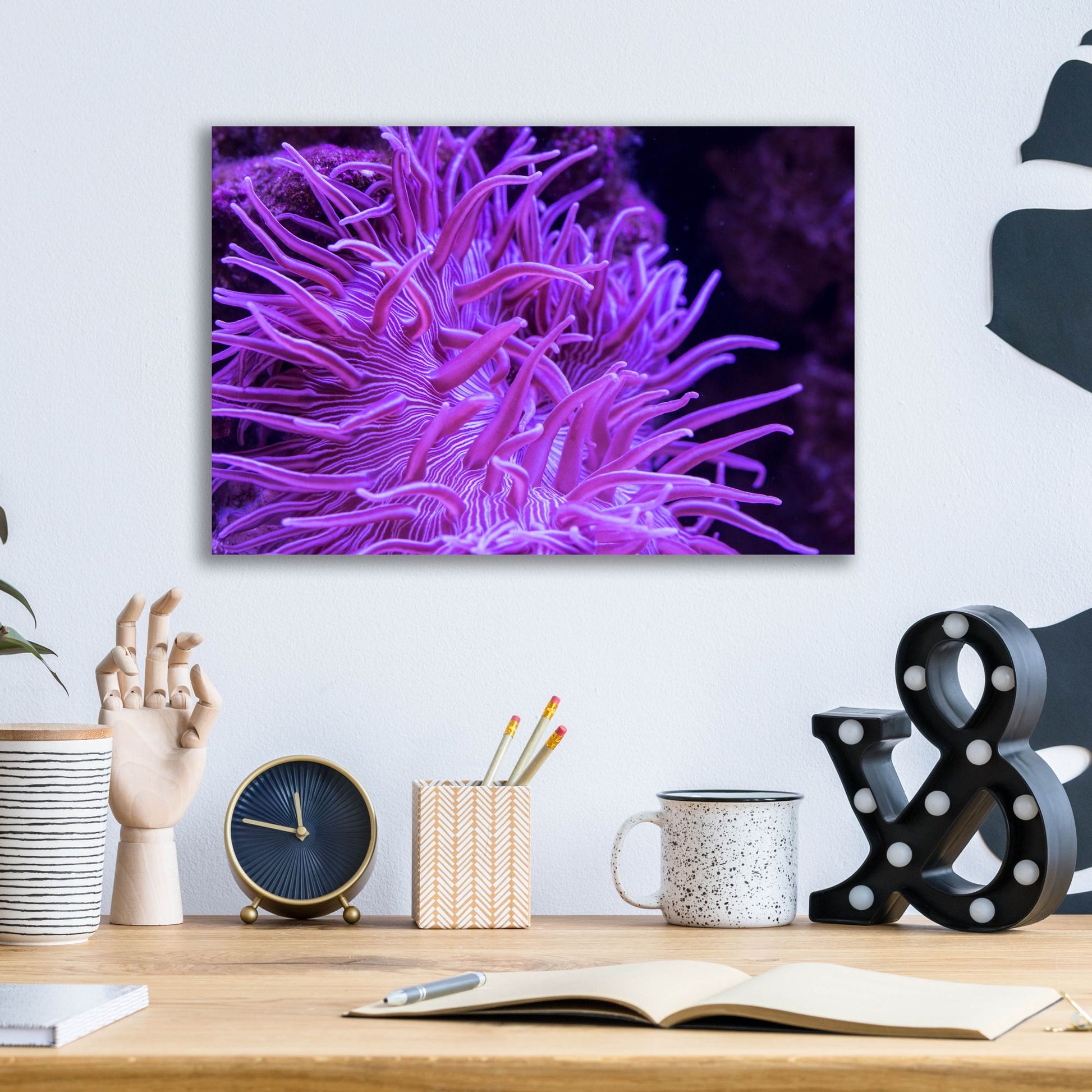 Epic Art 'Striped Long Tentacle Anemone' by Epic Portfolio, Acrylic Glass Wall Art,16x12