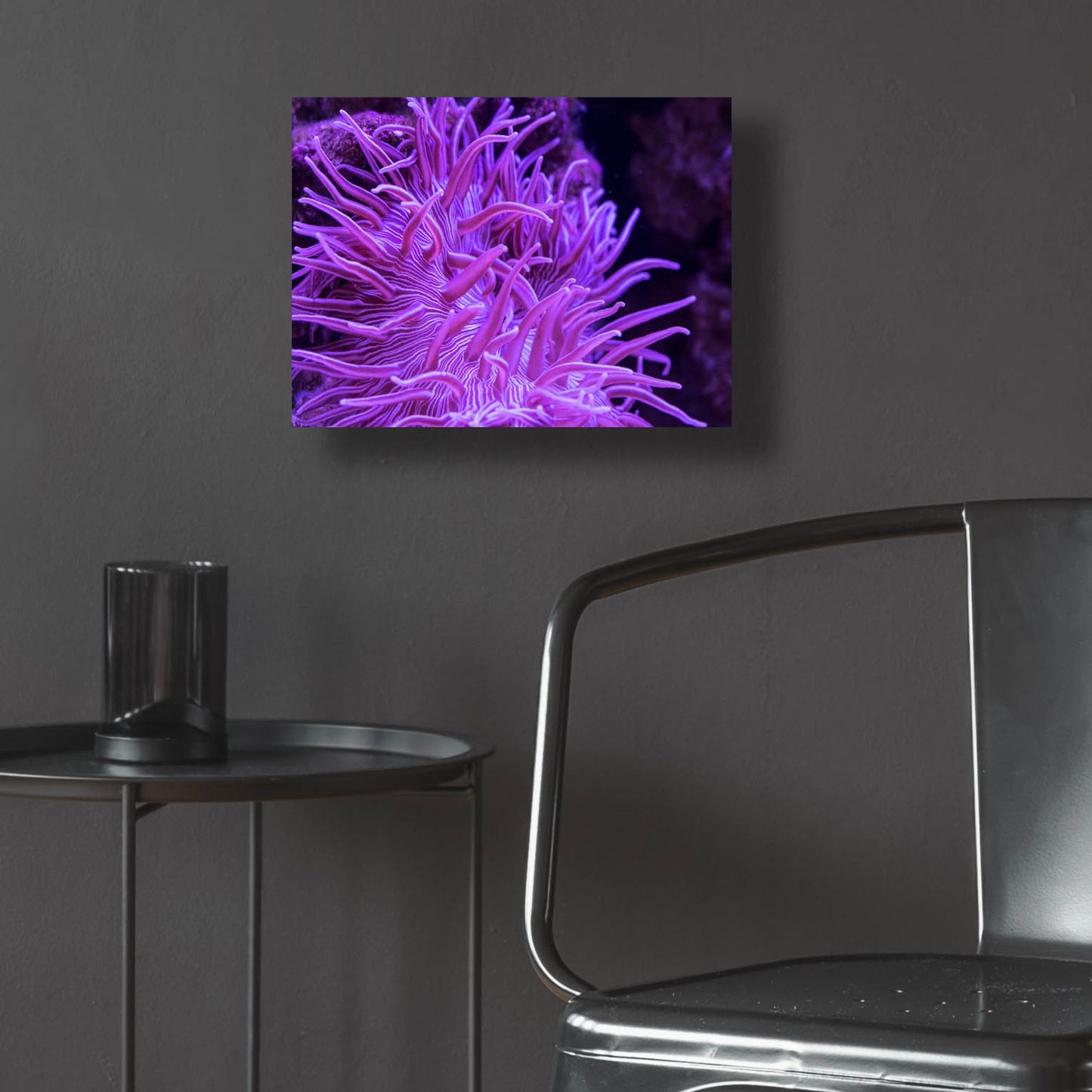 Epic Art 'Striped Long Tentacle Anemone' by Epic Portfolio, Acrylic Glass Wall Art,16x12