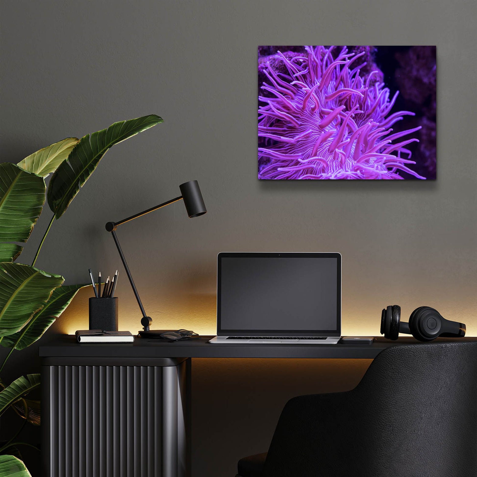 Epic Art 'Striped Long Tentacle Anemone' by Epic Portfolio, Acrylic Glass Wall Art,16x12