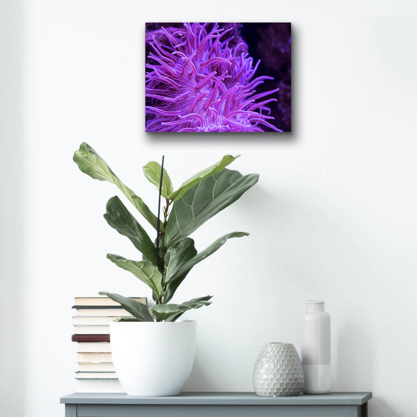 Epic Art 'Striped Long Tentacle Anemone' by Epic Portfolio, Acrylic Glass Wall Art,16x12