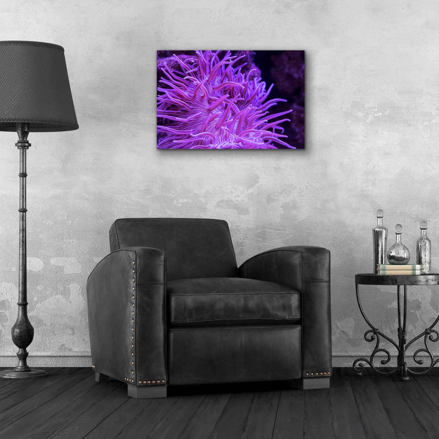 Epic Art 'Striped Long Tentacle Anemone' by Epic Portfolio, Acrylic Glass Wall Art,24x16