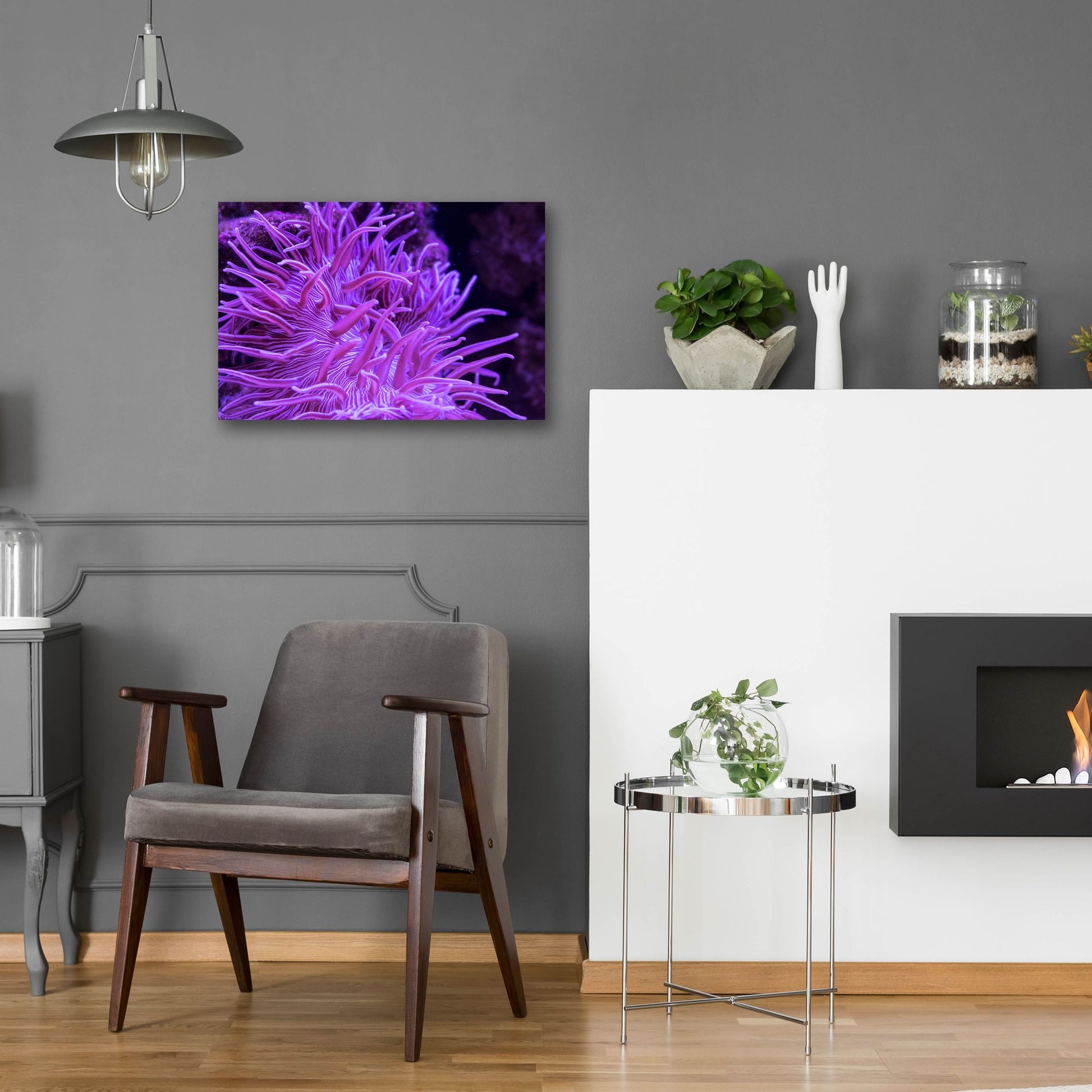 Epic Art 'Striped Long Tentacle Anemone' by Epic Portfolio, Acrylic Glass Wall Art,24x16