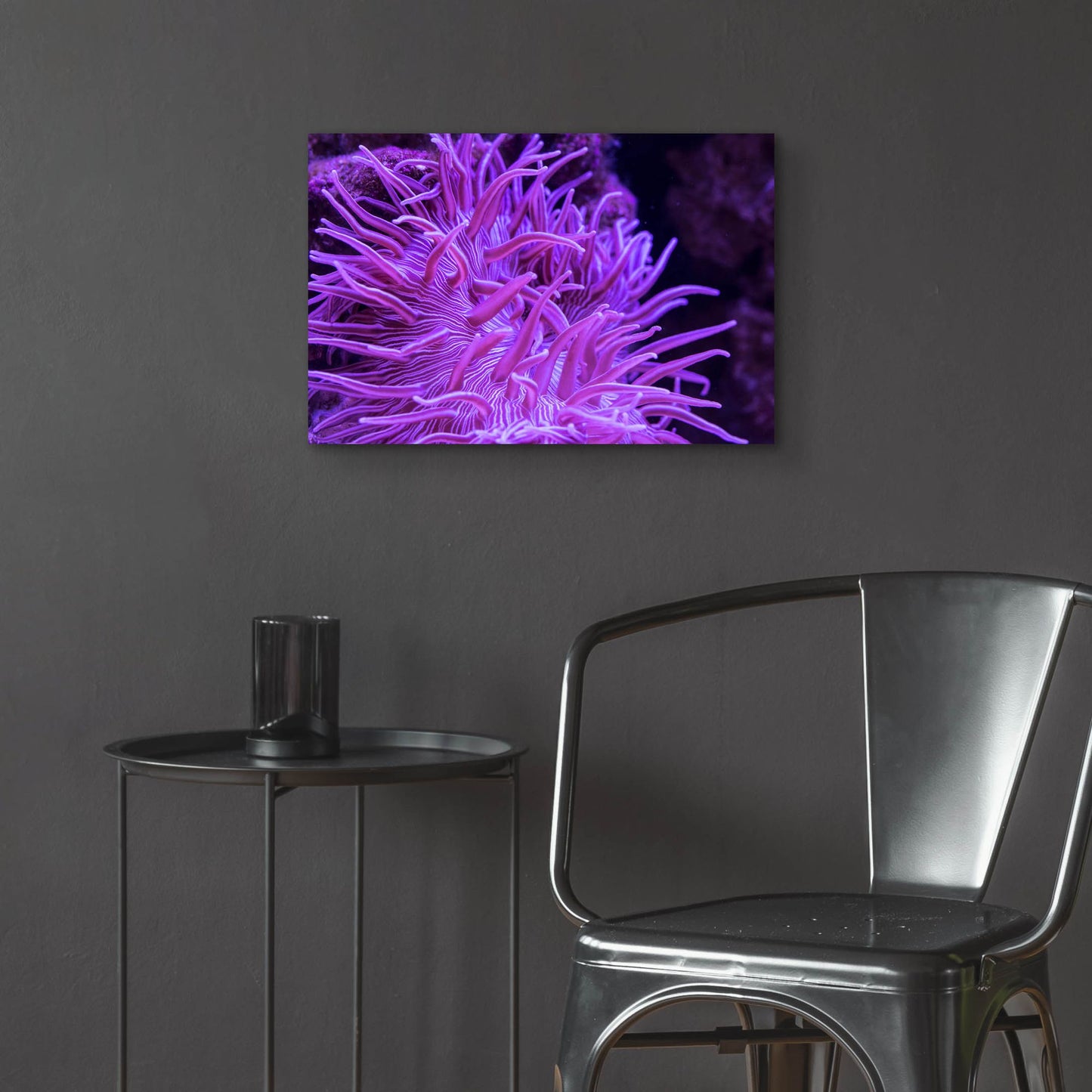 Epic Art 'Striped Long Tentacle Anemone' by Epic Portfolio, Acrylic Glass Wall Art,24x16