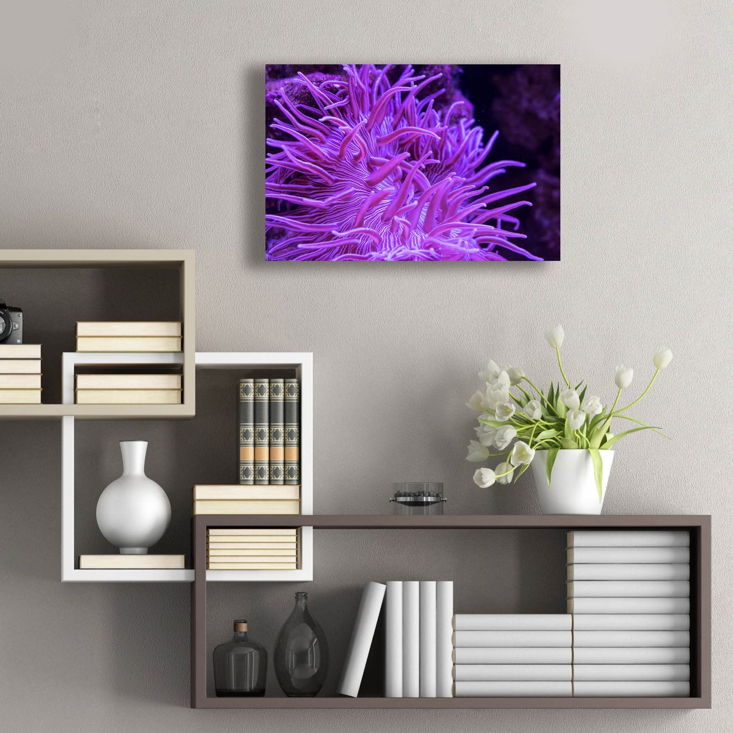 Epic Art 'Striped Long Tentacle Anemone' by Epic Portfolio, Acrylic Glass Wall Art,24x16