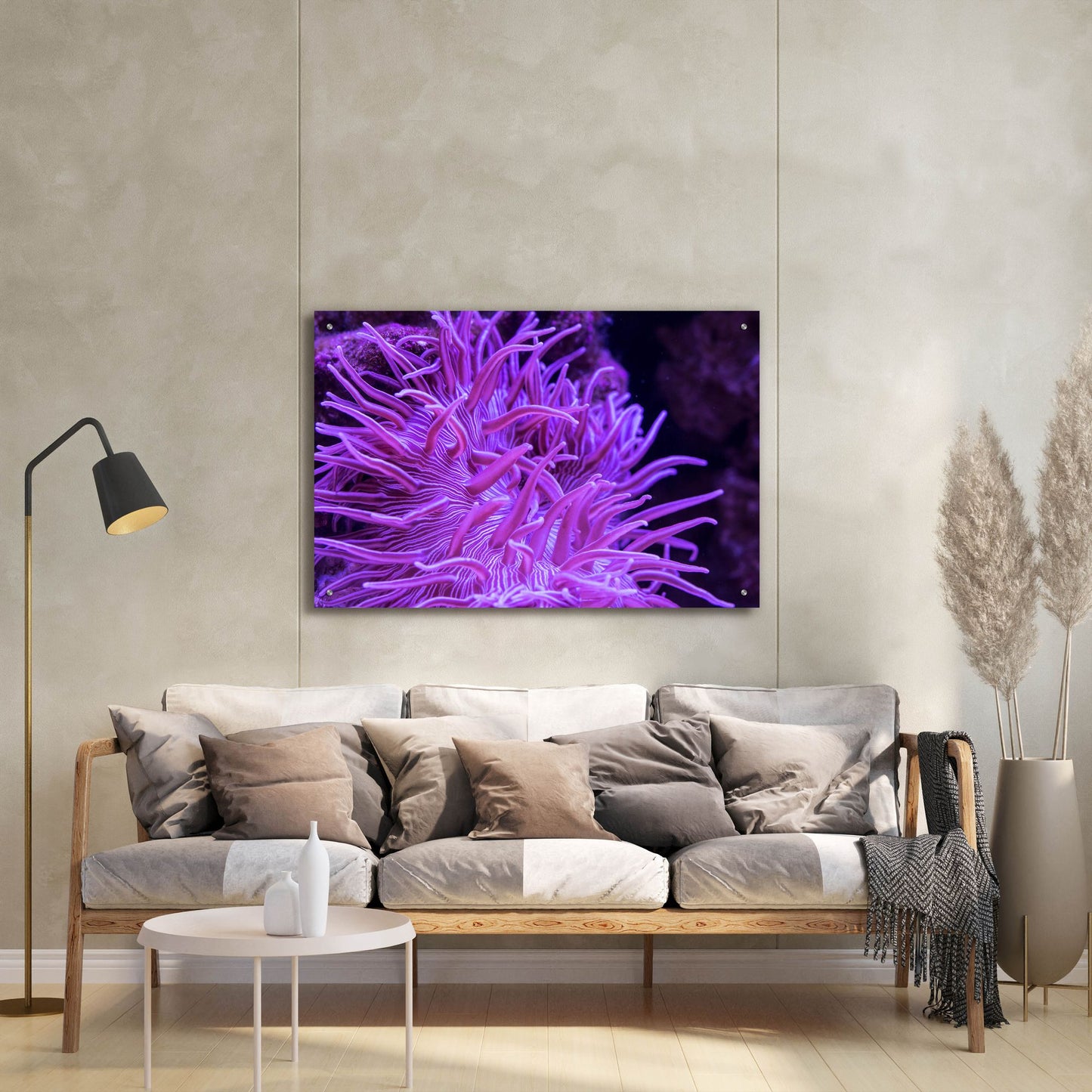 Epic Art 'Striped Long Tentacle Anemone' by Epic Portfolio, Acrylic Glass Wall Art,36x24