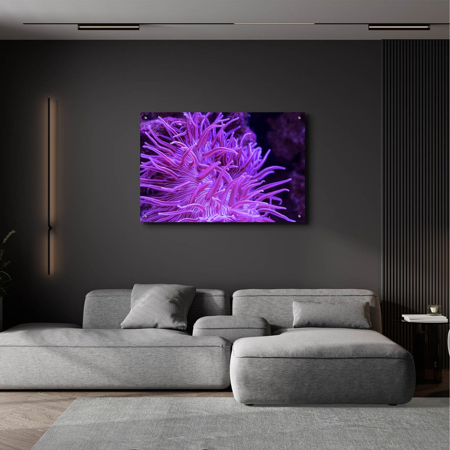 Epic Art 'Striped Long Tentacle Anemone' by Epic Portfolio, Acrylic Glass Wall Art,36x24