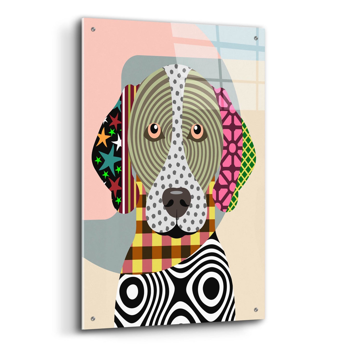 Epic Art 'German Shorthaired Pointer' by Lanre Adefioye, Acrylic Glass Wall Art,24x36