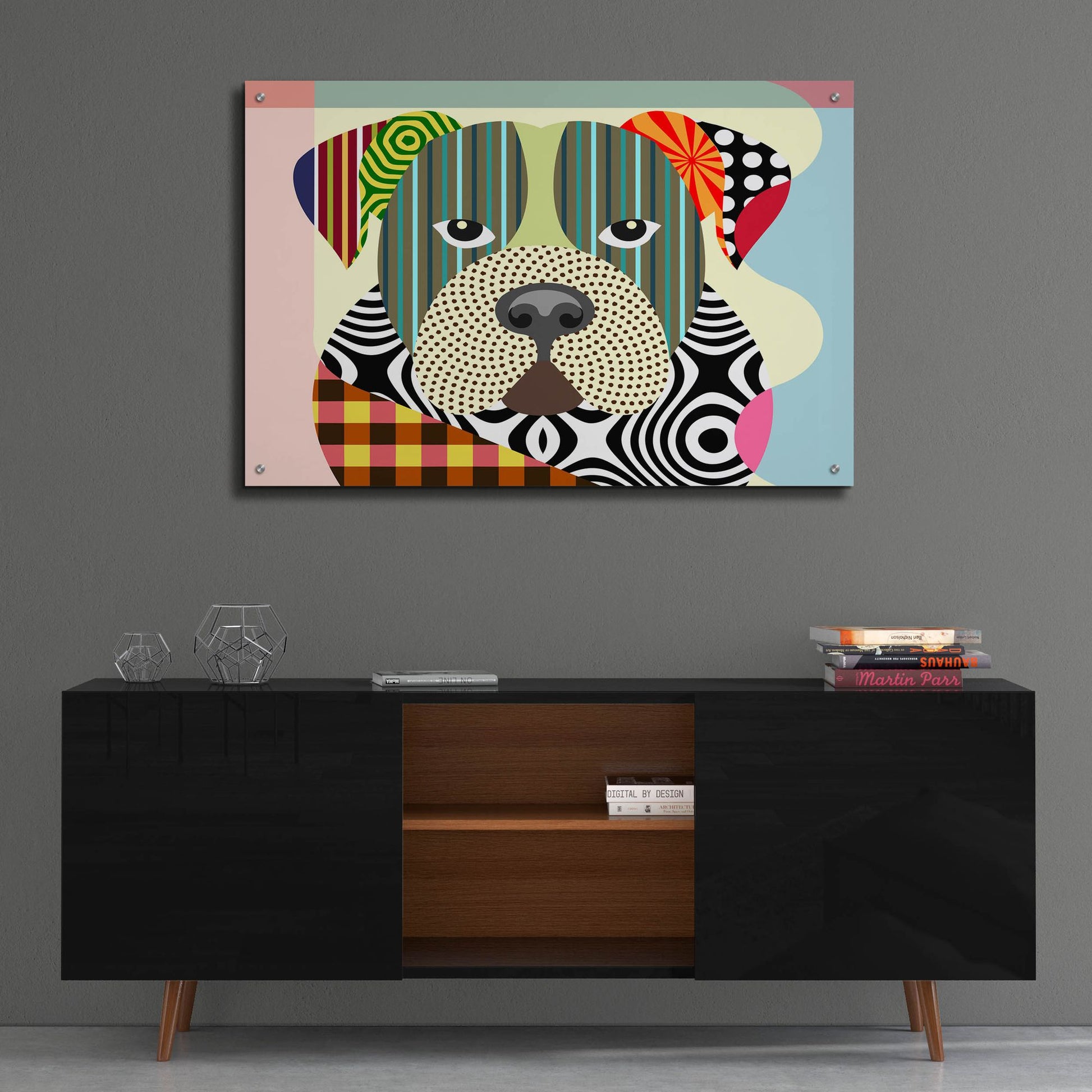 Epic Art 'American Bulldog' by Lanre Adefioye, Acrylic Glass Wall Art,36x24