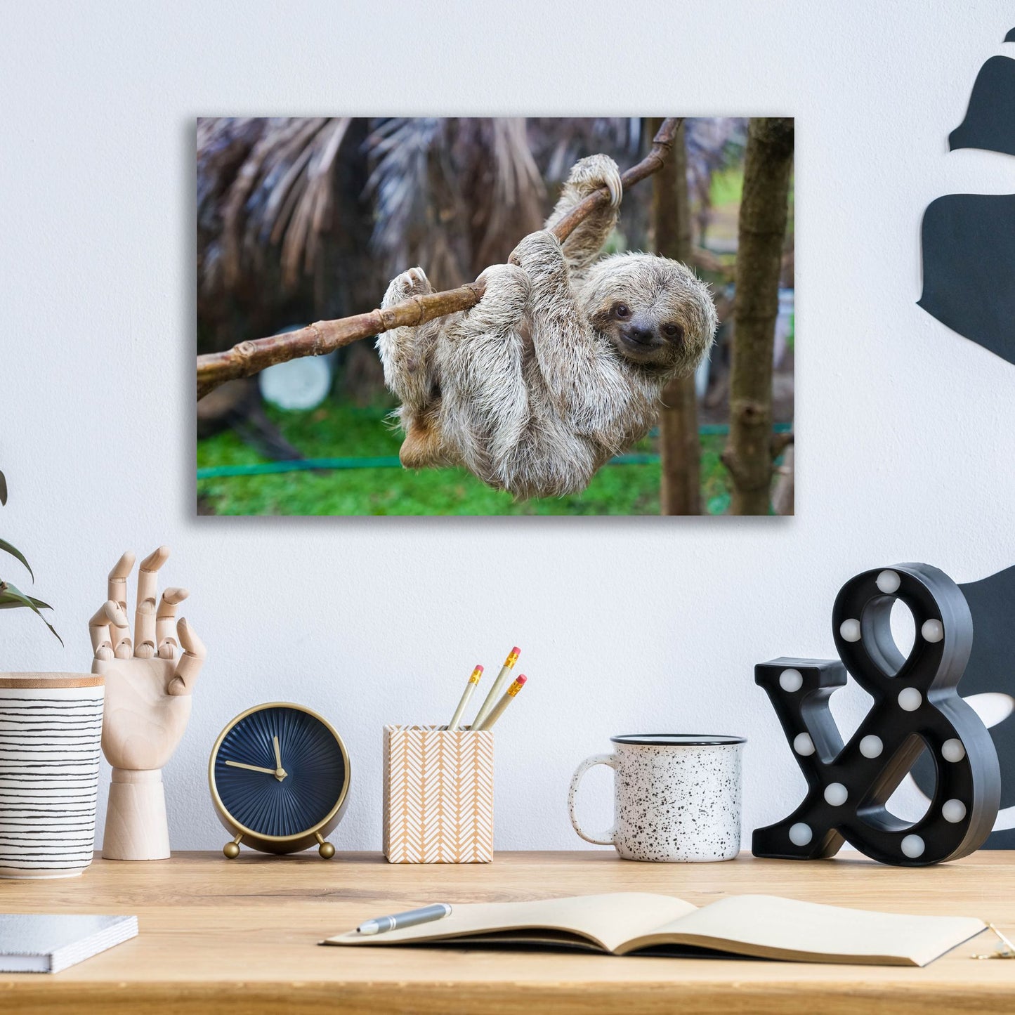 Epic Art 'Baby Sloth' by Epic Portfolio, Acrylic Glass Wall Art,16x12