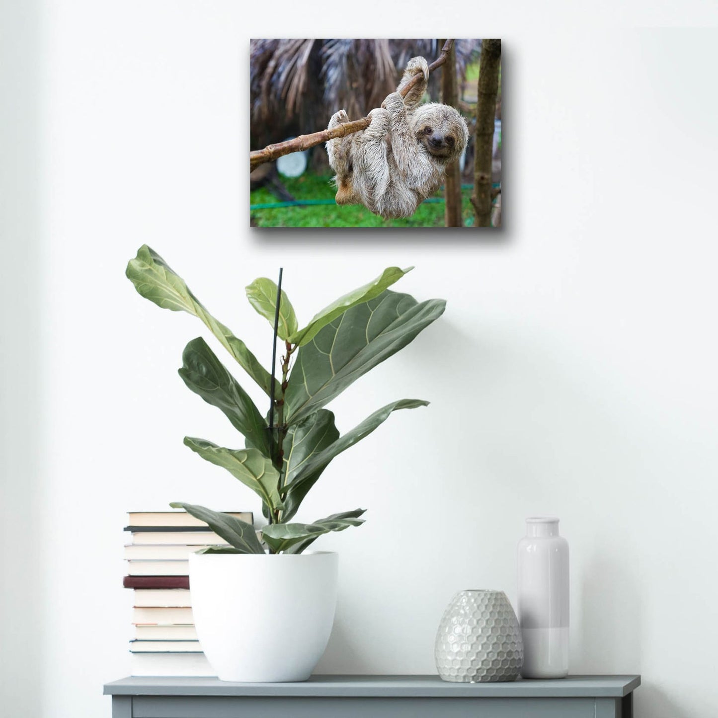 Epic Art 'Baby Sloth' by Epic Portfolio, Acrylic Glass Wall Art,16x12