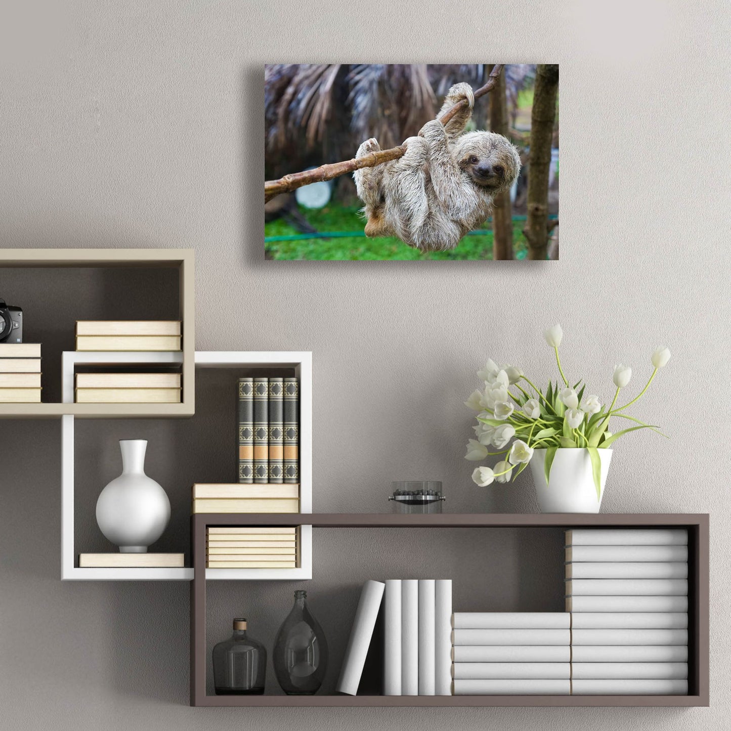 Epic Art 'Baby Sloth' by Epic Portfolio, Acrylic Glass Wall Art,24x16