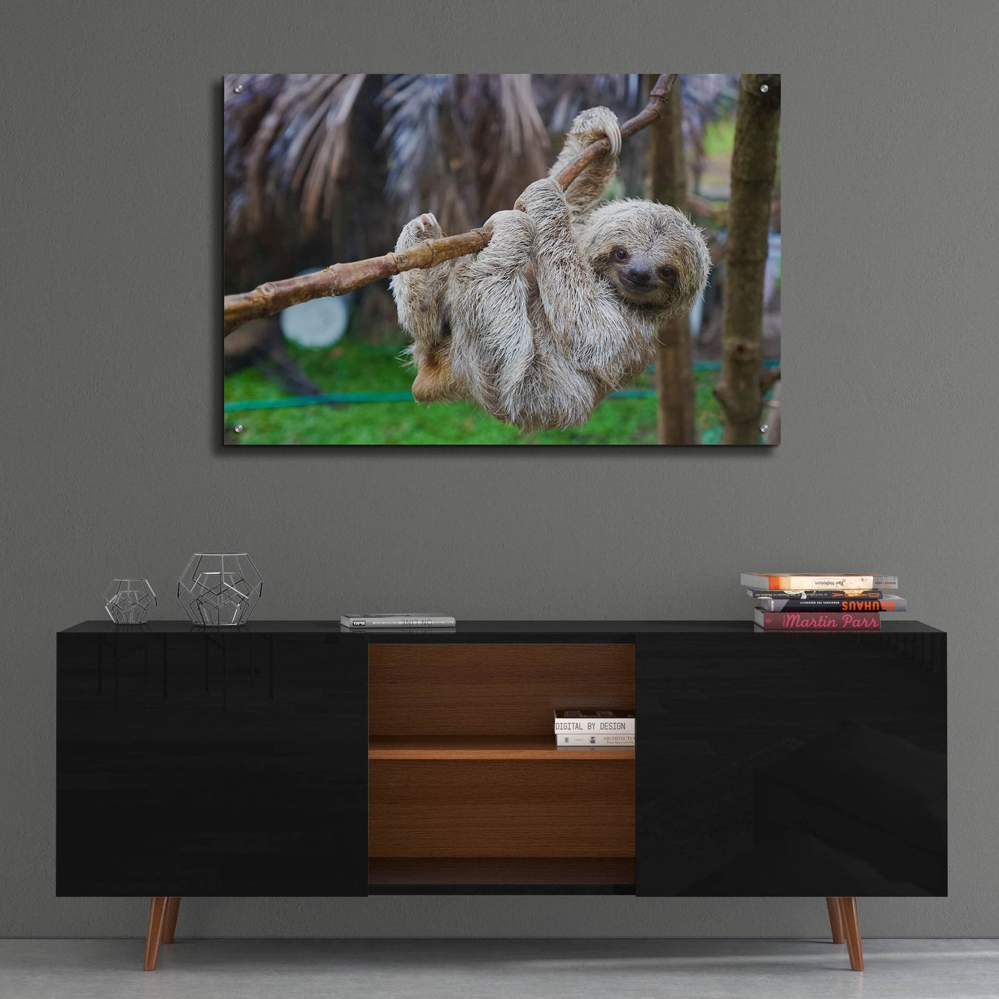 Epic Art 'Baby Sloth' by Epic Portfolio, Acrylic Glass Wall Art,36x24