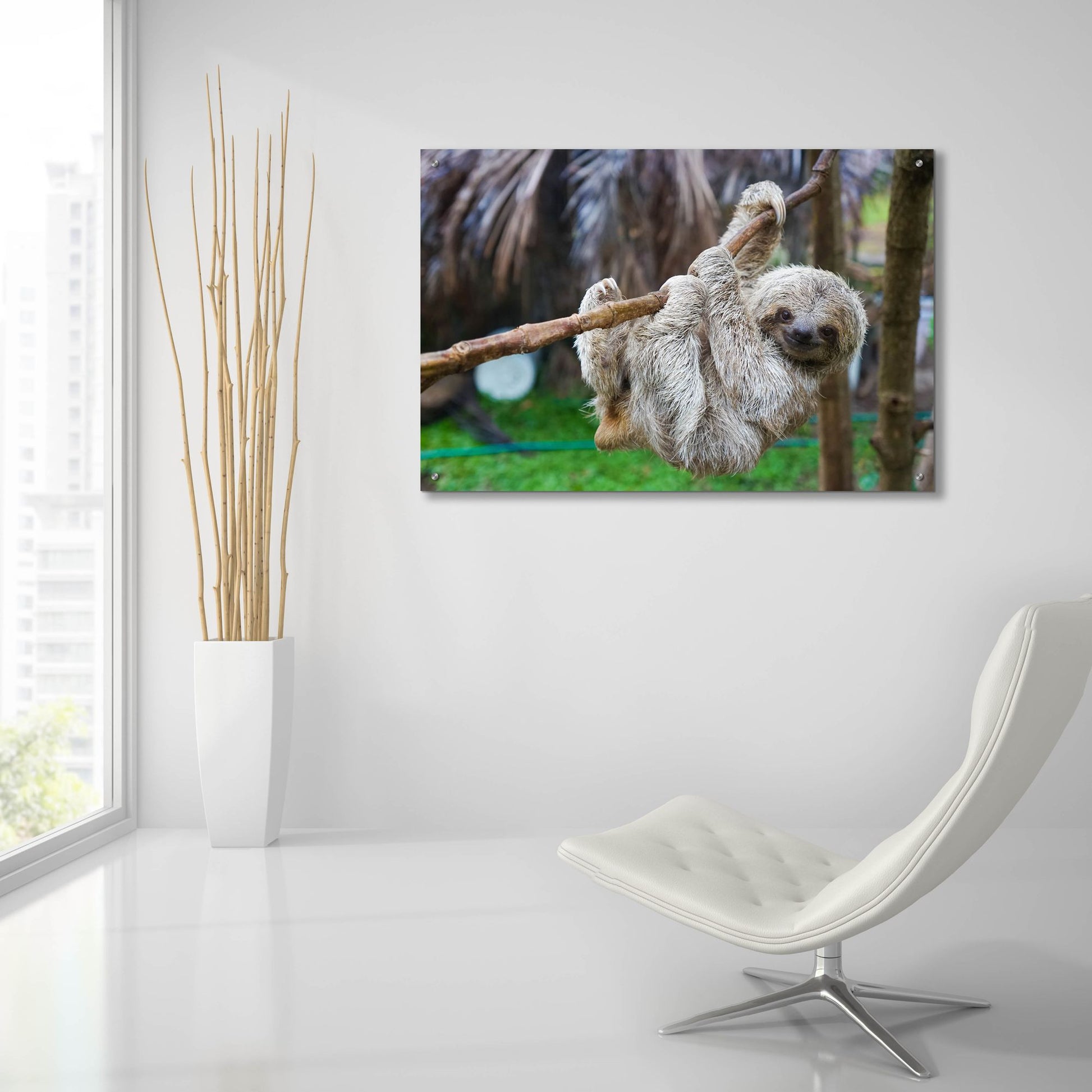 Epic Art 'Baby Sloth' by Epic Portfolio, Acrylic Glass Wall Art,36x24