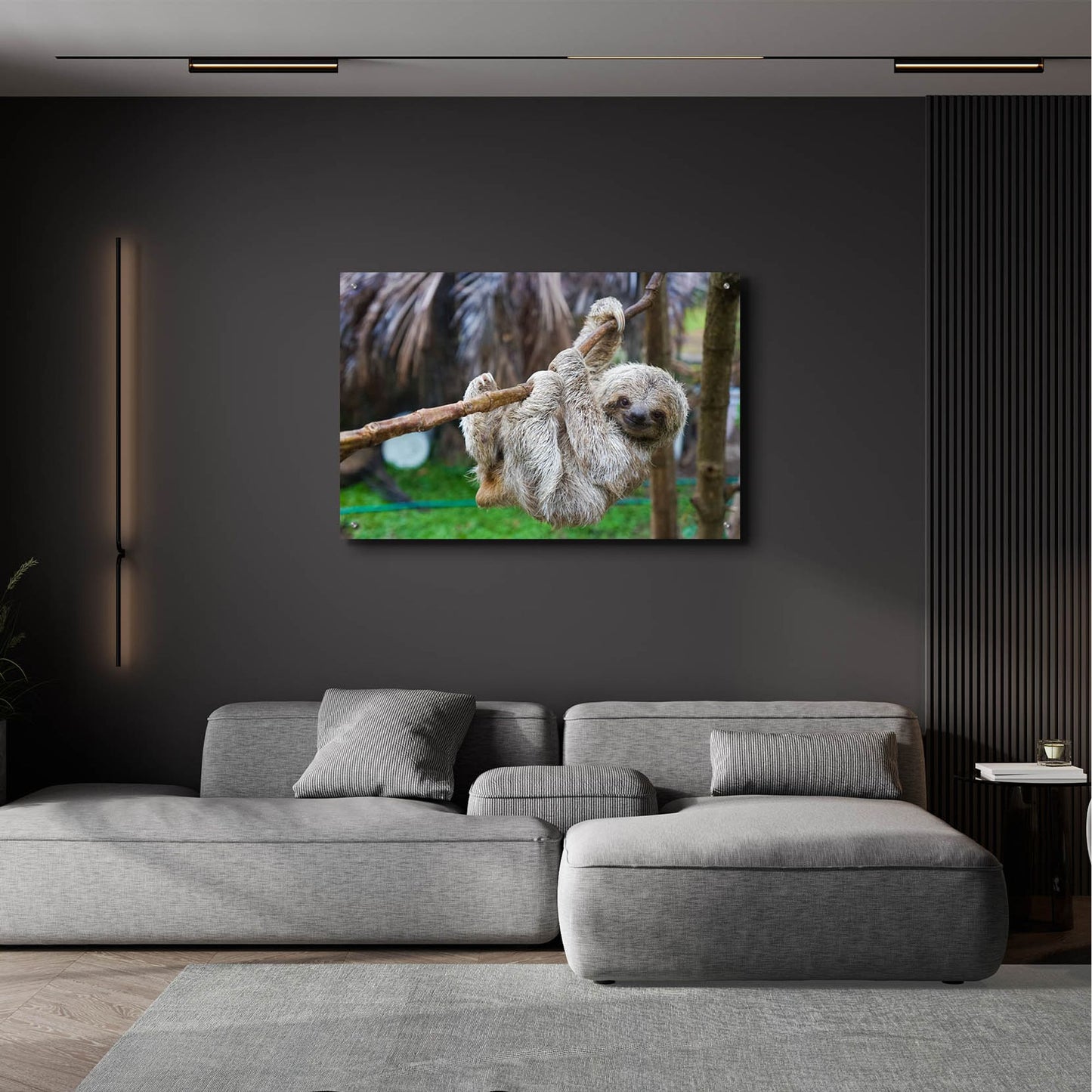 Epic Art 'Baby Sloth' by Epic Portfolio, Acrylic Glass Wall Art,36x24