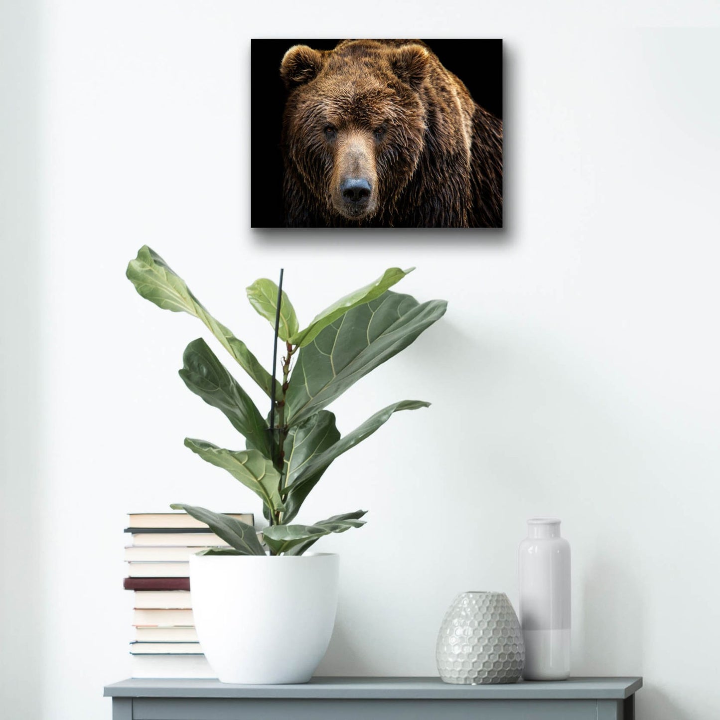 Epic Art 'Brown Bear' by Epic Portfolio, Acrylic Glass Wall Art,16x12