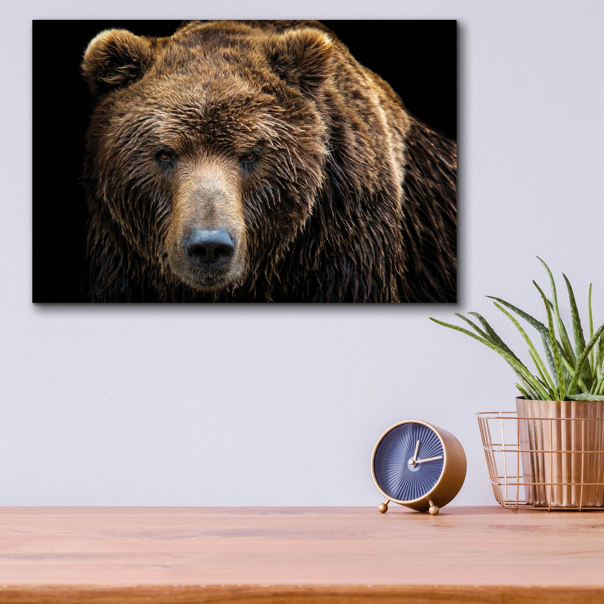 Epic Art 'Brown Bear' by Epic Portfolio, Acrylic Glass Wall Art,16x12