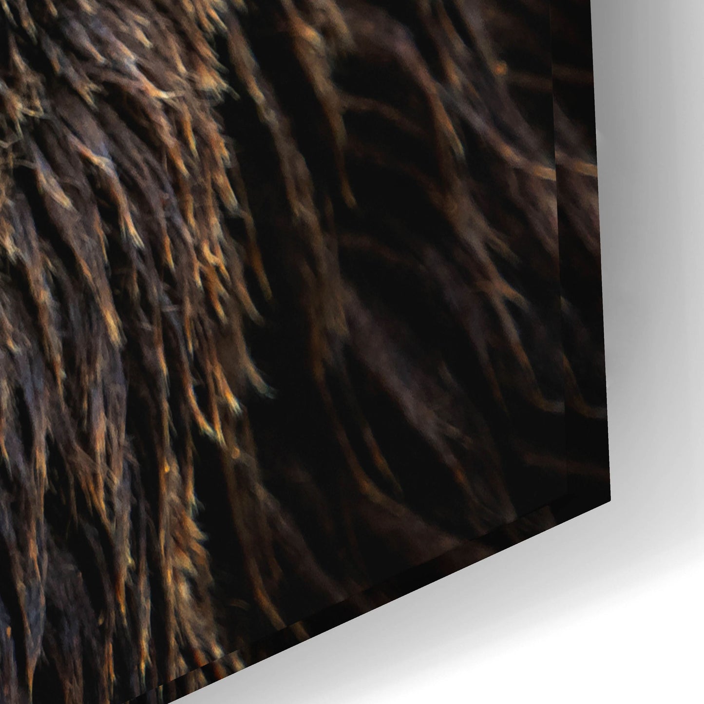 Epic Art 'Brown Bear' by Epic Portfolio, Acrylic Glass Wall Art,24x16