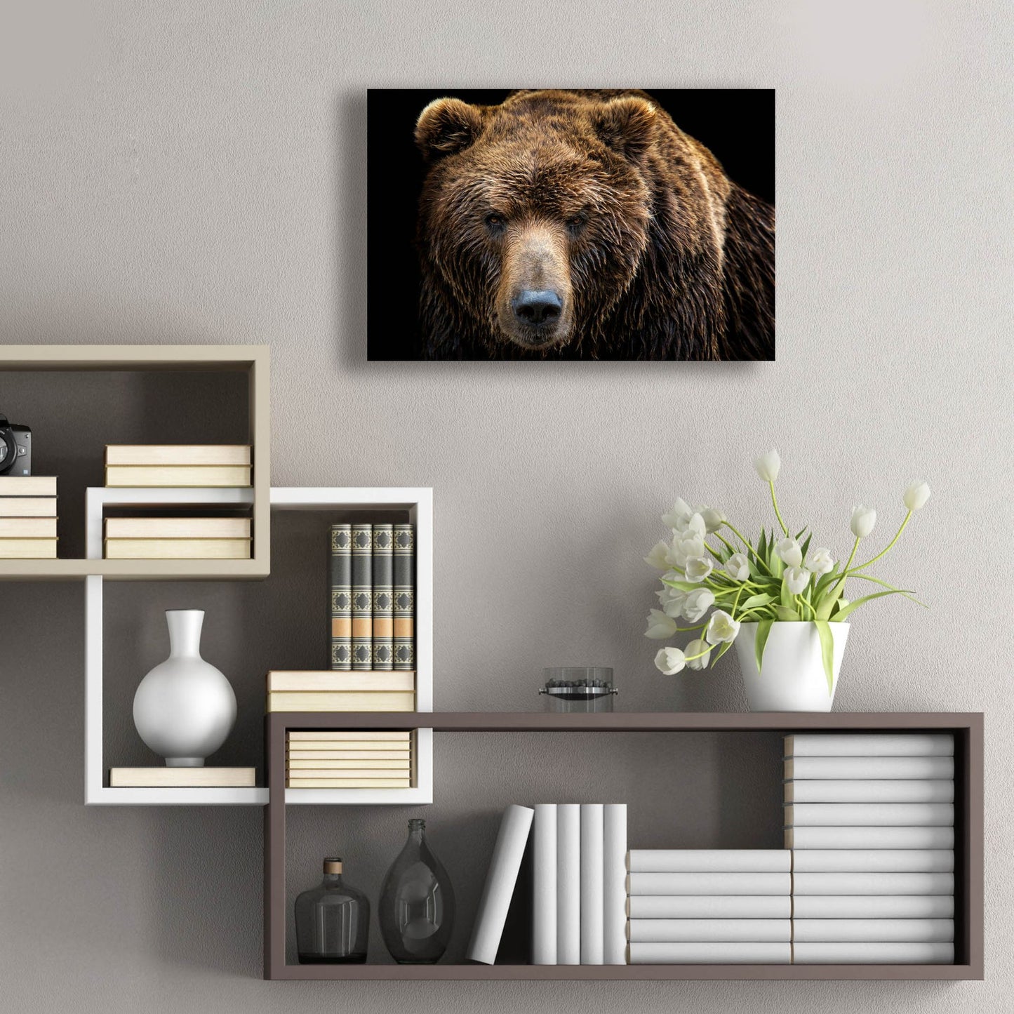 Epic Art 'Brown Bear' by Epic Portfolio, Acrylic Glass Wall Art,24x16