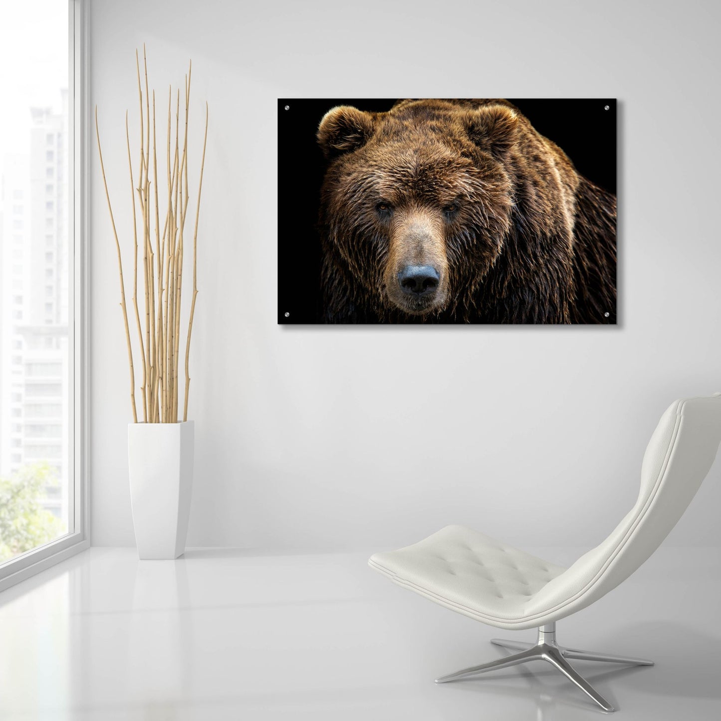 Epic Art 'Brown Bear' by Epic Portfolio, Acrylic Glass Wall Art,36x24