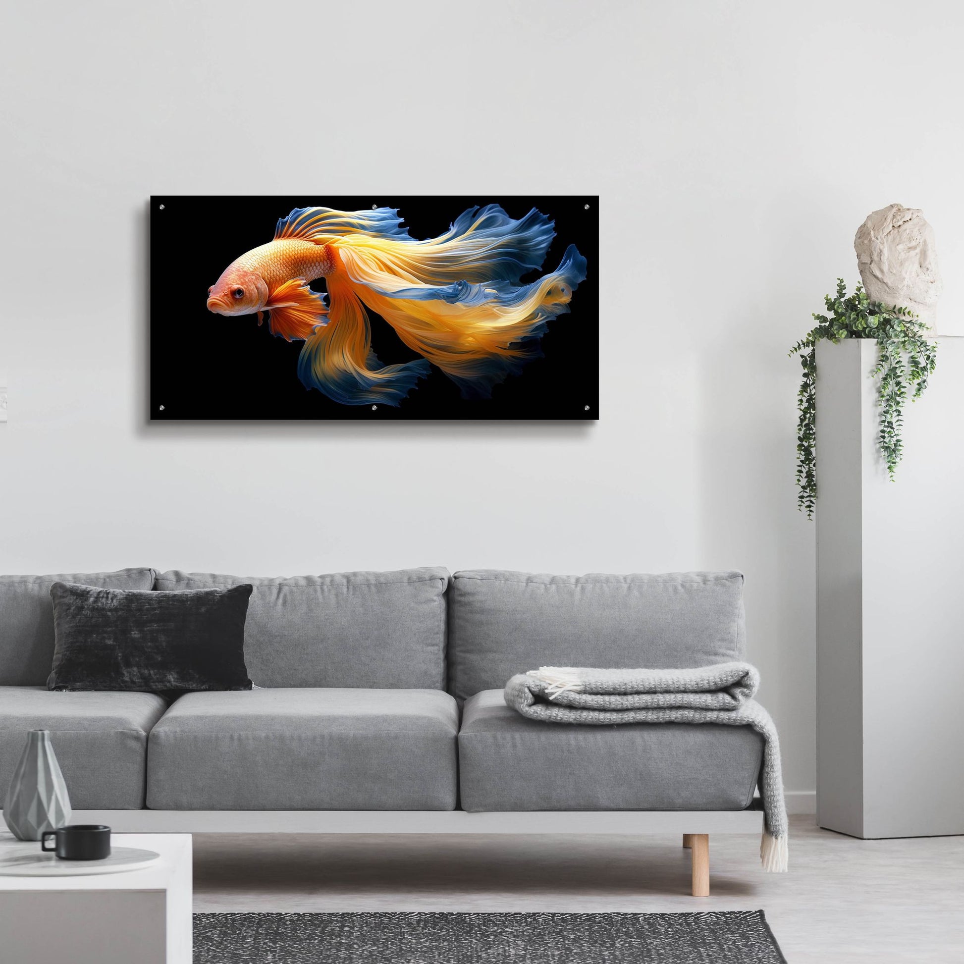 Epic Art 'Fighting Fish Blue and Yellow' by Epic Portfolio, Acrylic Glass Wall Art,48x24