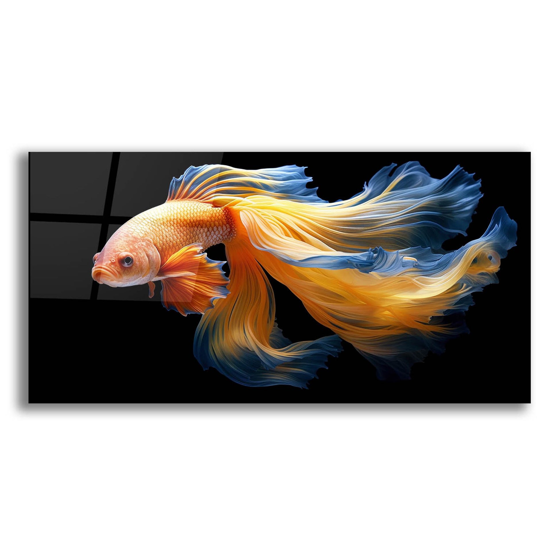 Epic Art 'Fighting Fish Blue and Yellow' by Epic Portfolio, Acrylic Glass Wall Art