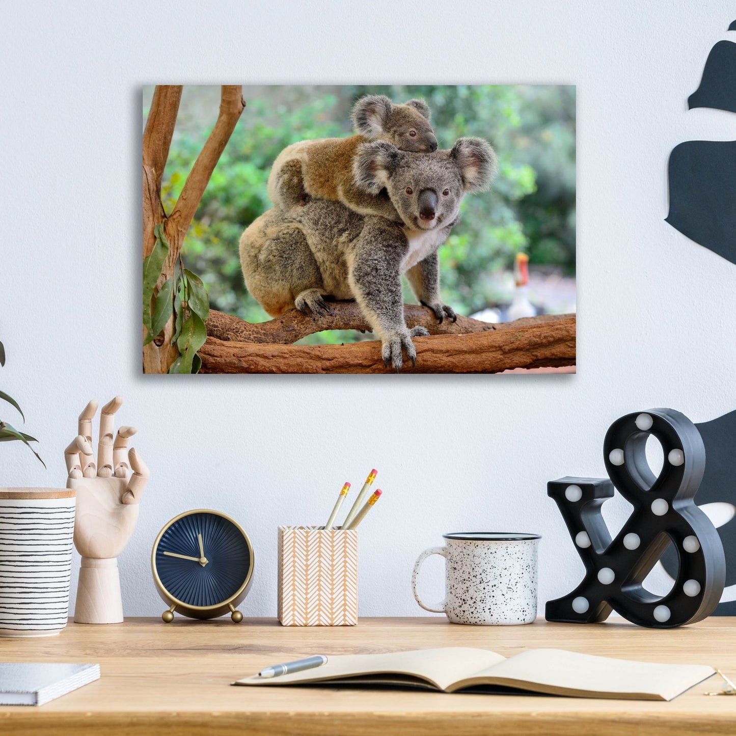 Epic Art 'Koala' by Epic Portfolio, Acrylic Glass Wall Art,16x12