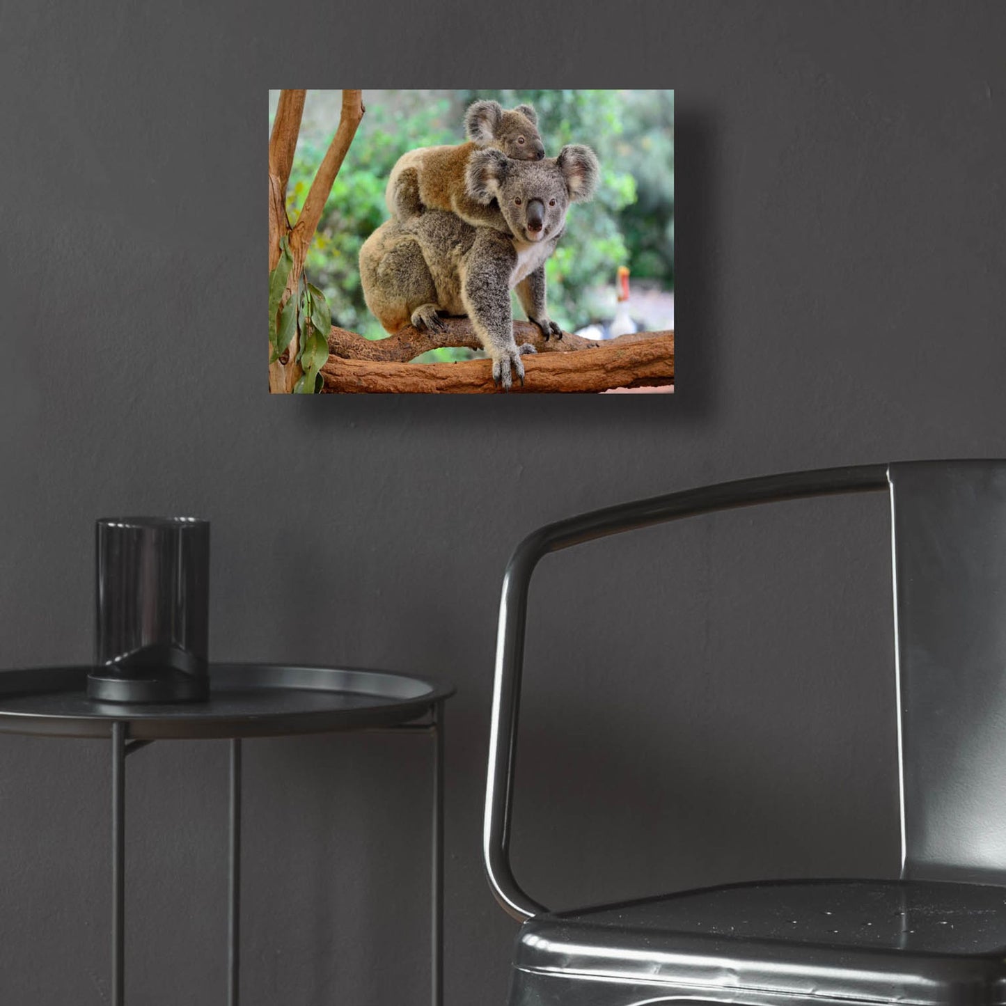 Epic Art 'Koala' by Epic Portfolio, Acrylic Glass Wall Art,16x12