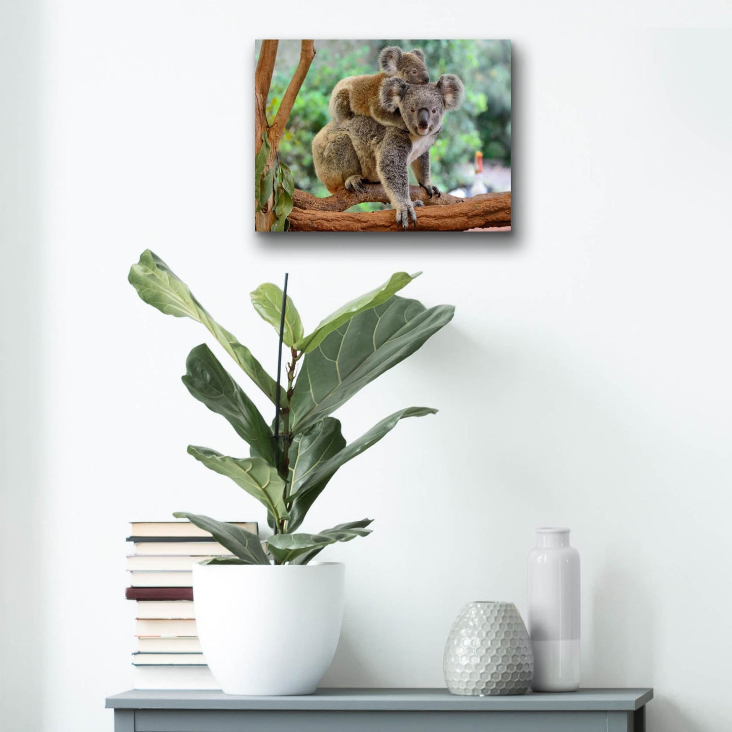 Epic Art 'Koala' by Epic Portfolio, Acrylic Glass Wall Art,16x12