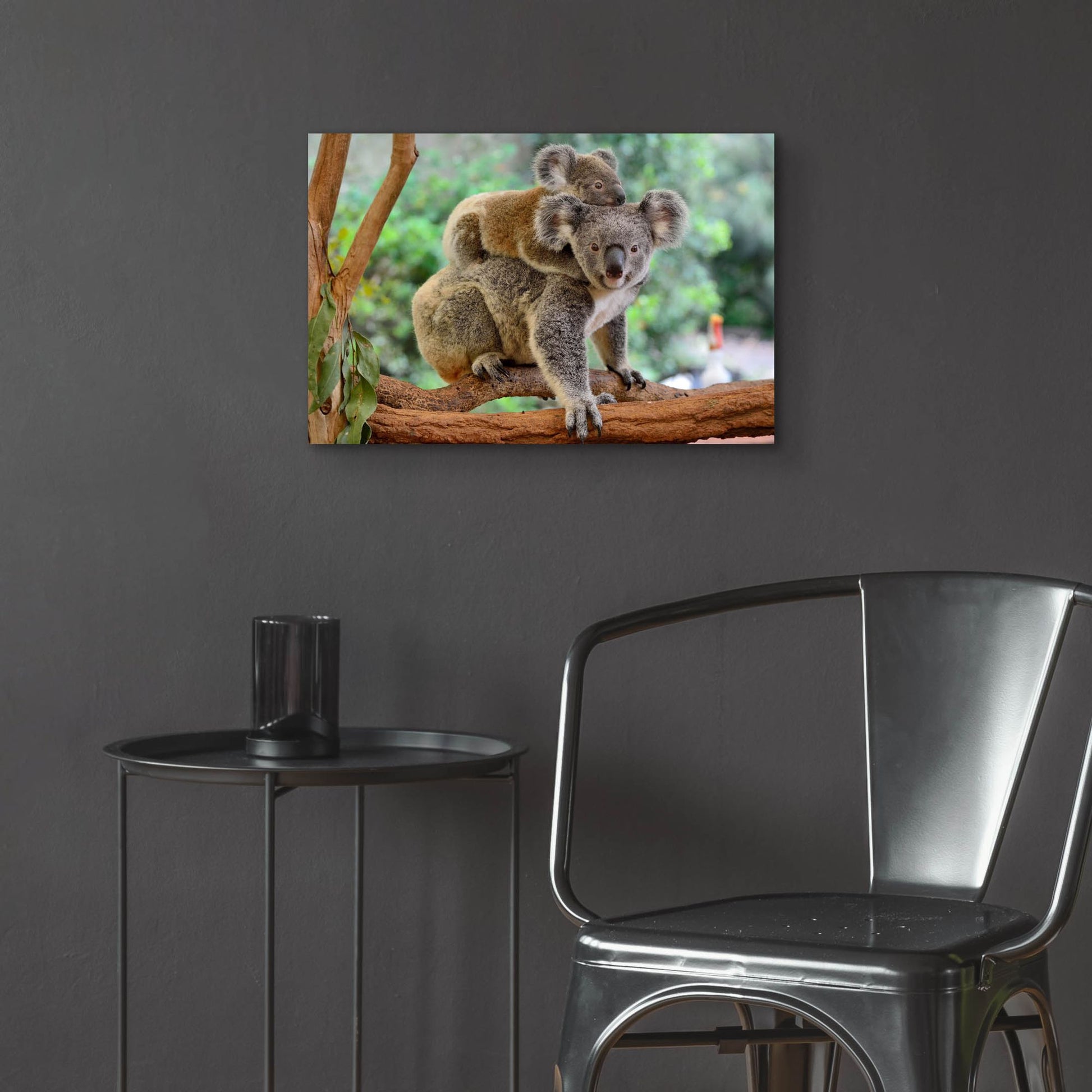 Epic Art 'Koala' by Epic Portfolio, Acrylic Glass Wall Art,24x16