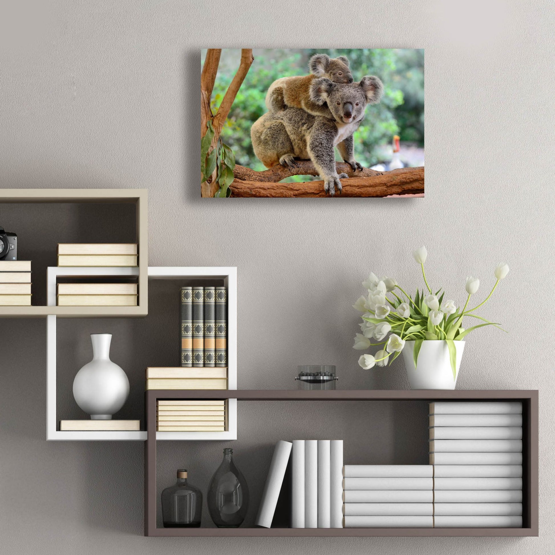 Epic Art 'Koala' by Epic Portfolio, Acrylic Glass Wall Art,24x16