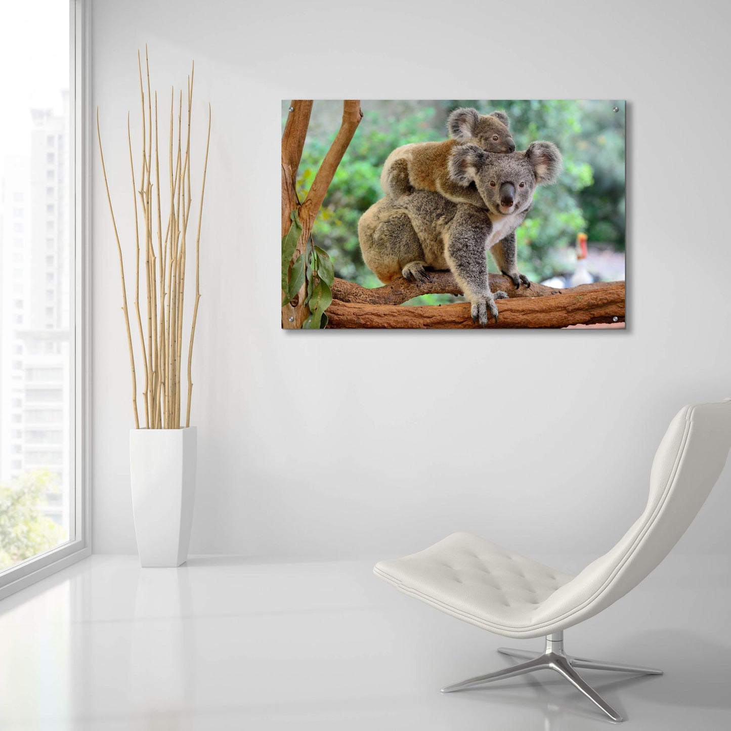 Epic Art 'Koala' by Epic Portfolio, Acrylic Glass Wall Art,36x24