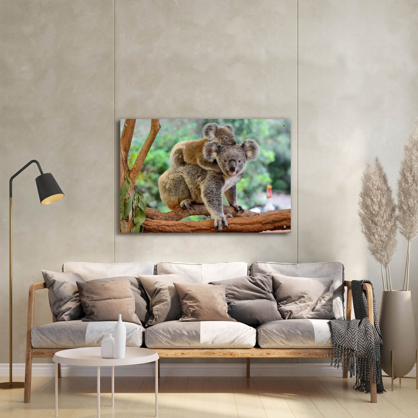 Epic Art 'Koala' by Epic Portfolio, Acrylic Glass Wall Art,36x24