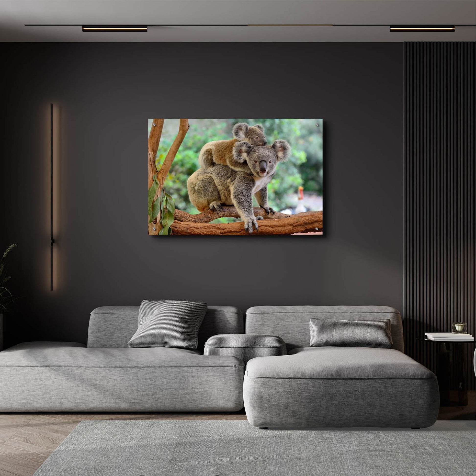 Epic Art 'Koala' by Epic Portfolio, Acrylic Glass Wall Art,36x24