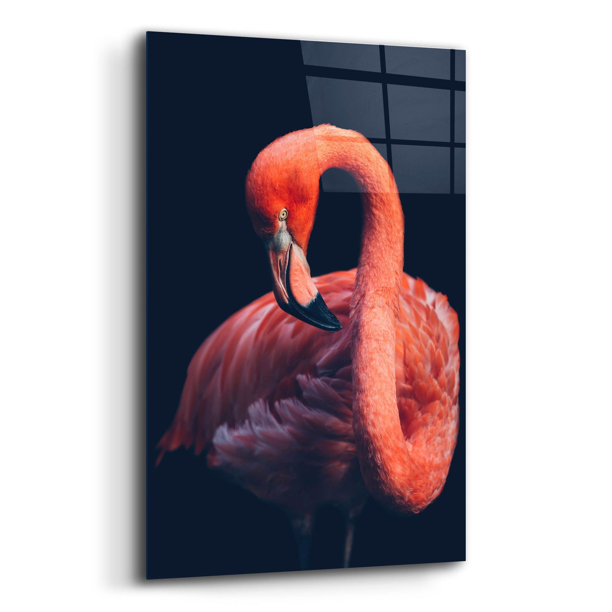 Epic Art 'Pink Flamingo' by Epic Portfolio, Acrylic Glass Wall Art,12x16