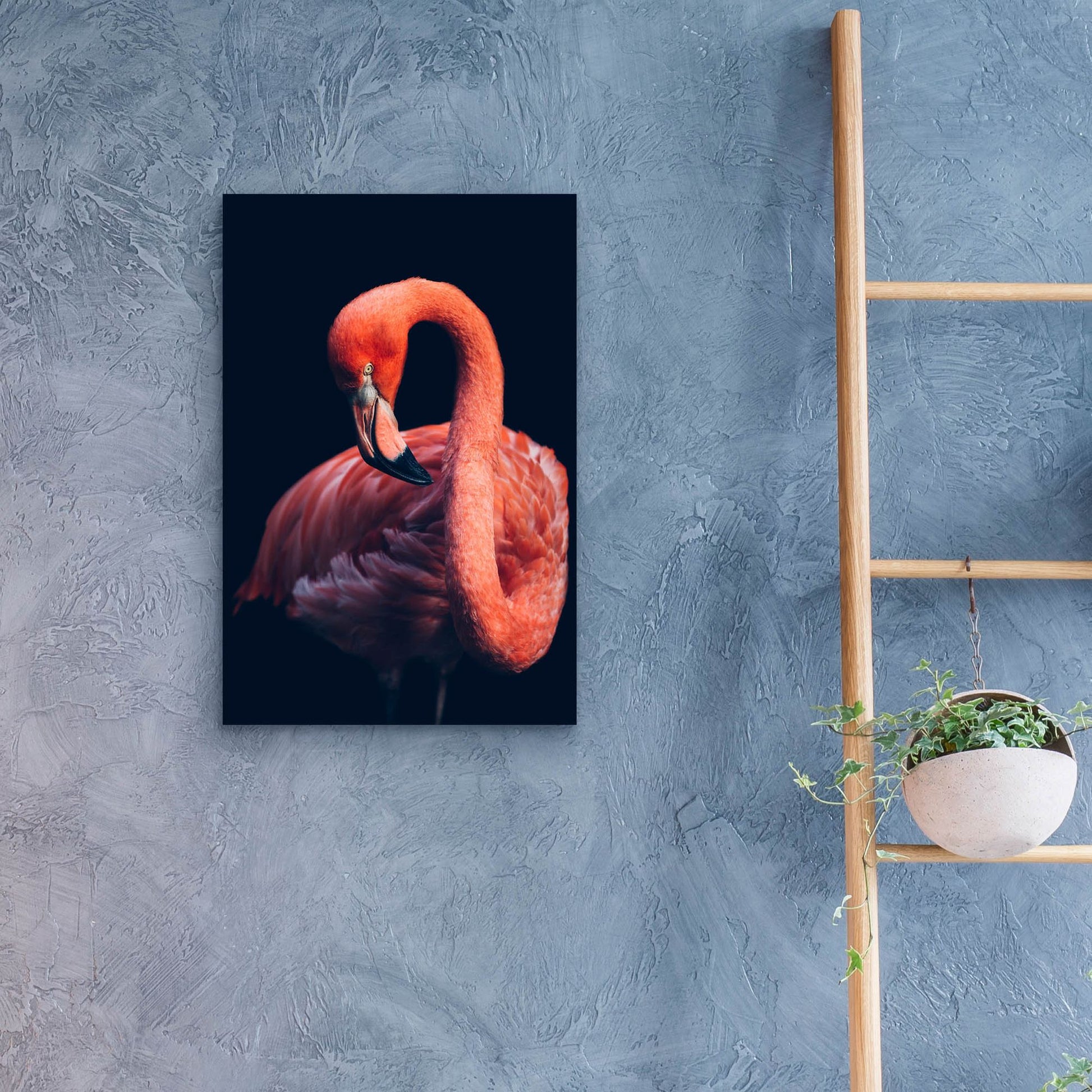 Epic Art 'Pink Flamingo' by Epic Portfolio, Acrylic Glass Wall Art,16x24