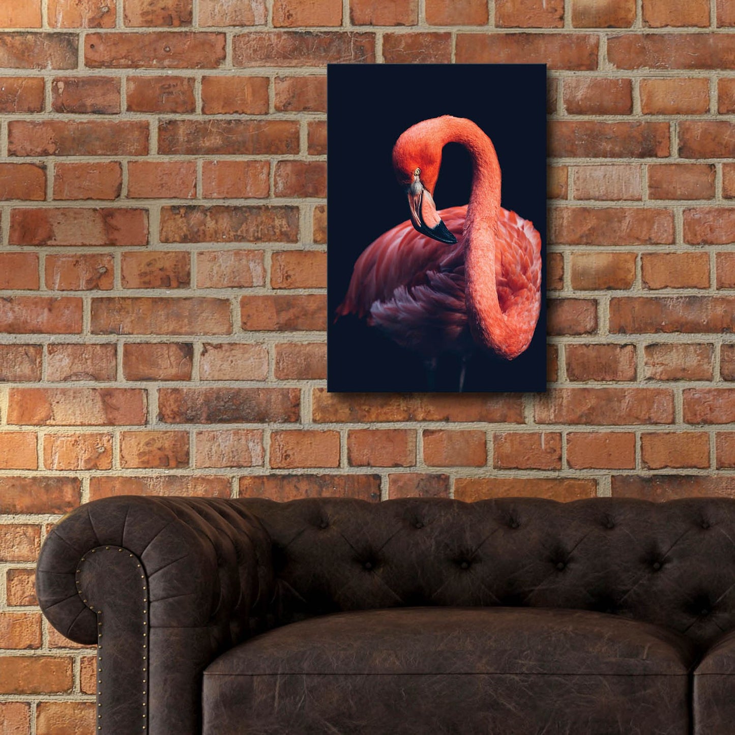 Epic Art 'Pink Flamingo' by Epic Portfolio, Acrylic Glass Wall Art,16x24