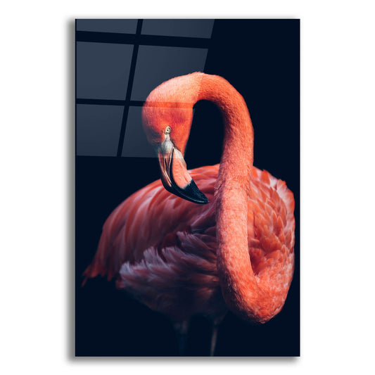 Epic Art 'Pink Flamingo' by Epic Portfolio, Acrylic Glass Wall Art