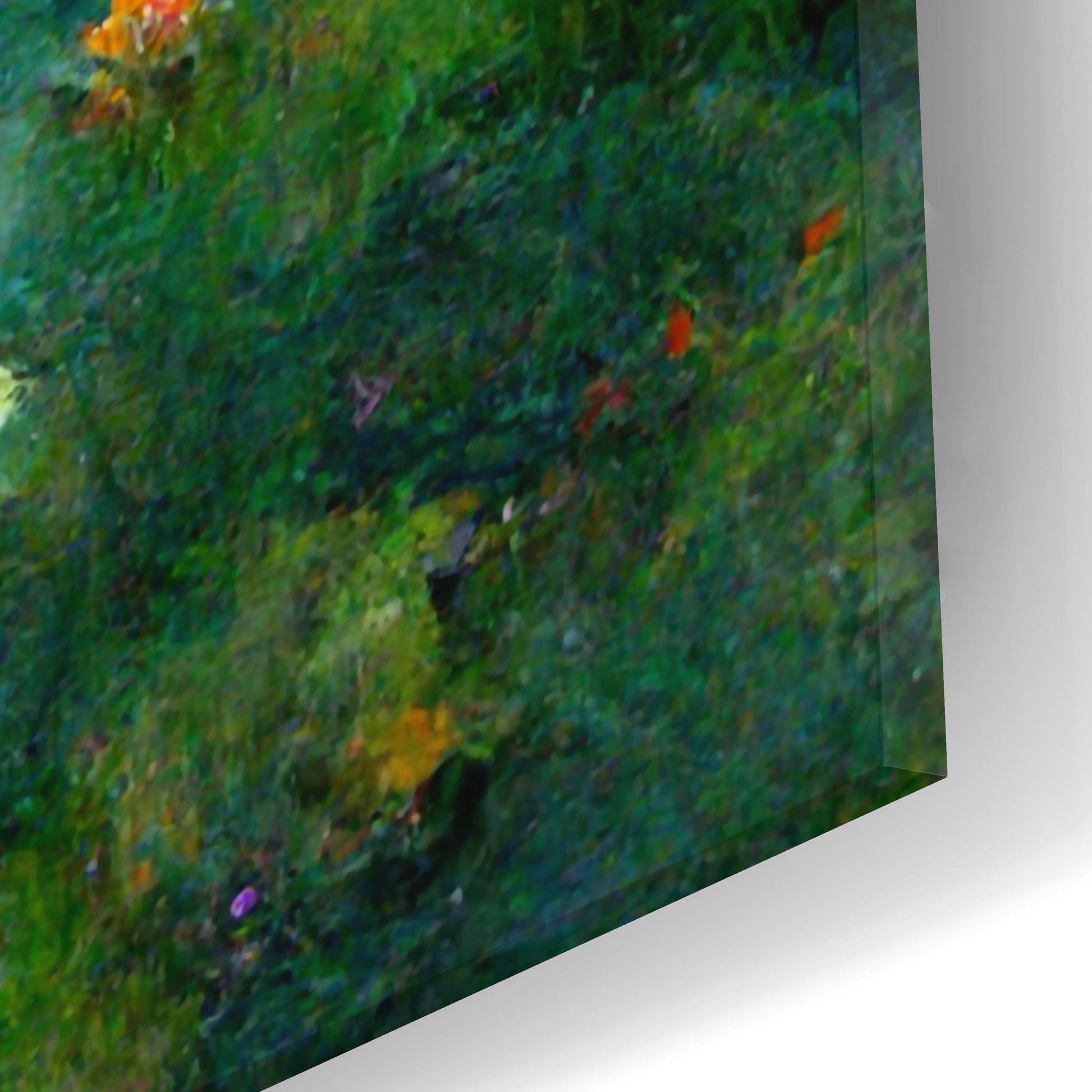 Epic Art 'Pond Lilies' by Epic Portfolio, Acrylic Glass Wall Art,24x12