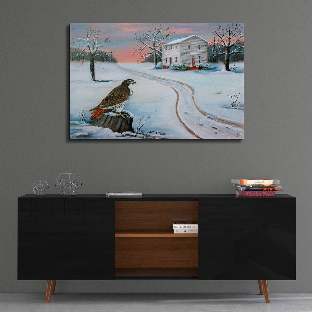 Old St. Paul's and the Hawk by Arie Reinhardt Taylor - 36x24 acrylic wall art in a room