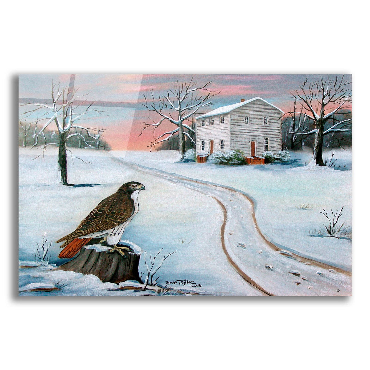 Old St. Paul's and the Hawk by Arie Reinhardt Taylor acrylic glass wall art