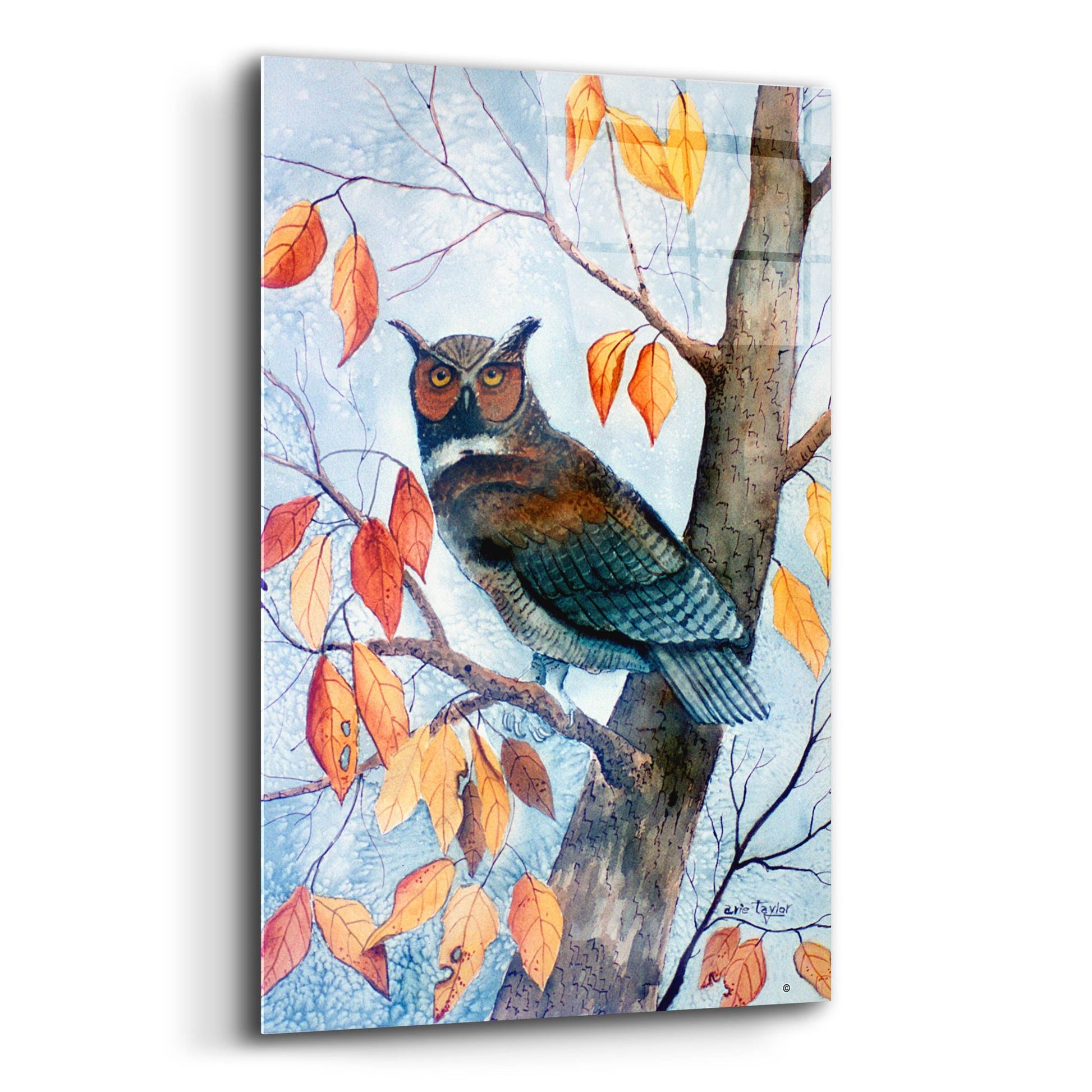 Epic Art 'Owl and Autumn Leaves' by Arie Reinhardt Taylor, Acrylic Glass Wall Art,12x16