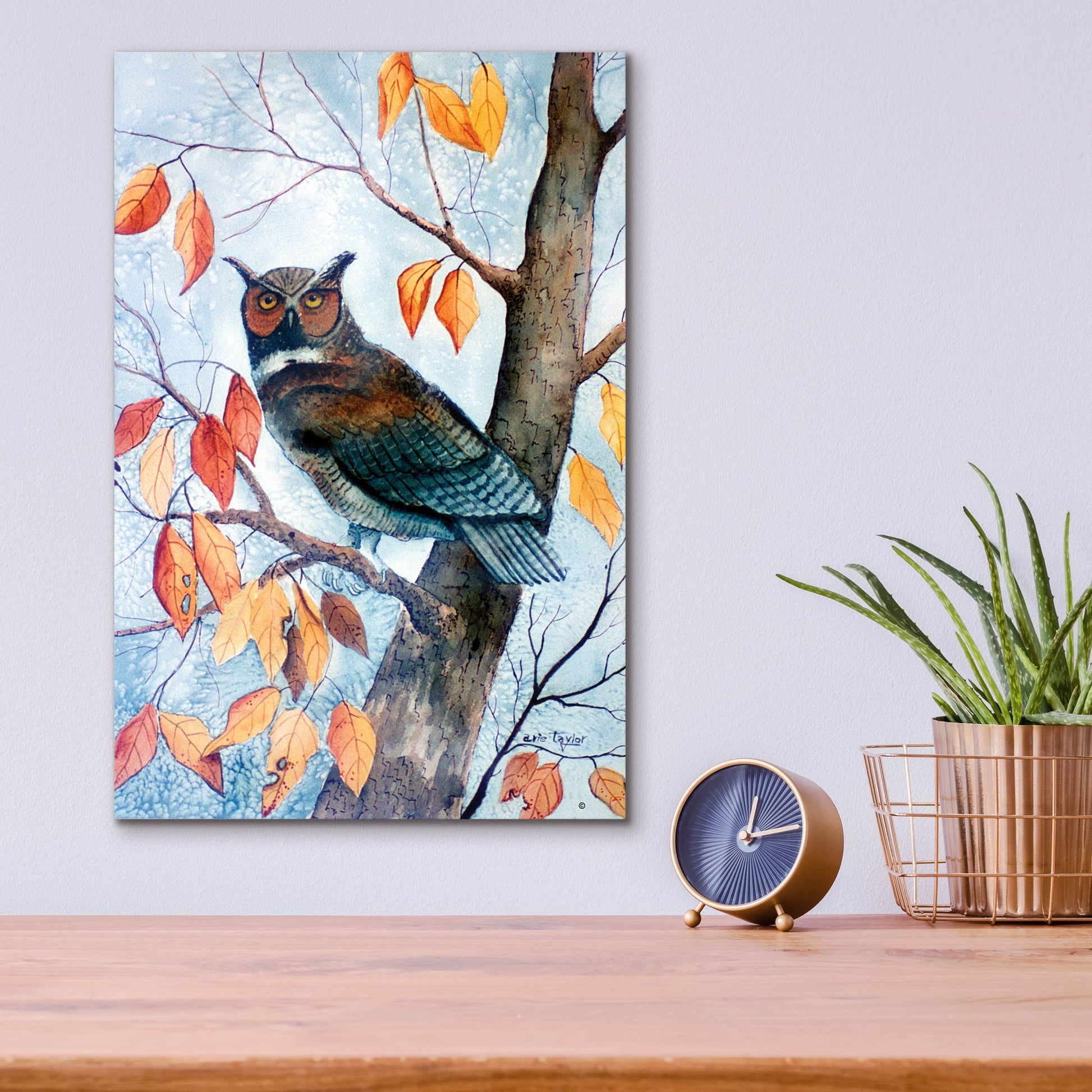 Epic Art 'Owl and Autumn Leaves' by Arie Reinhardt Taylor, Acrylic Glass Wall Art,12x16